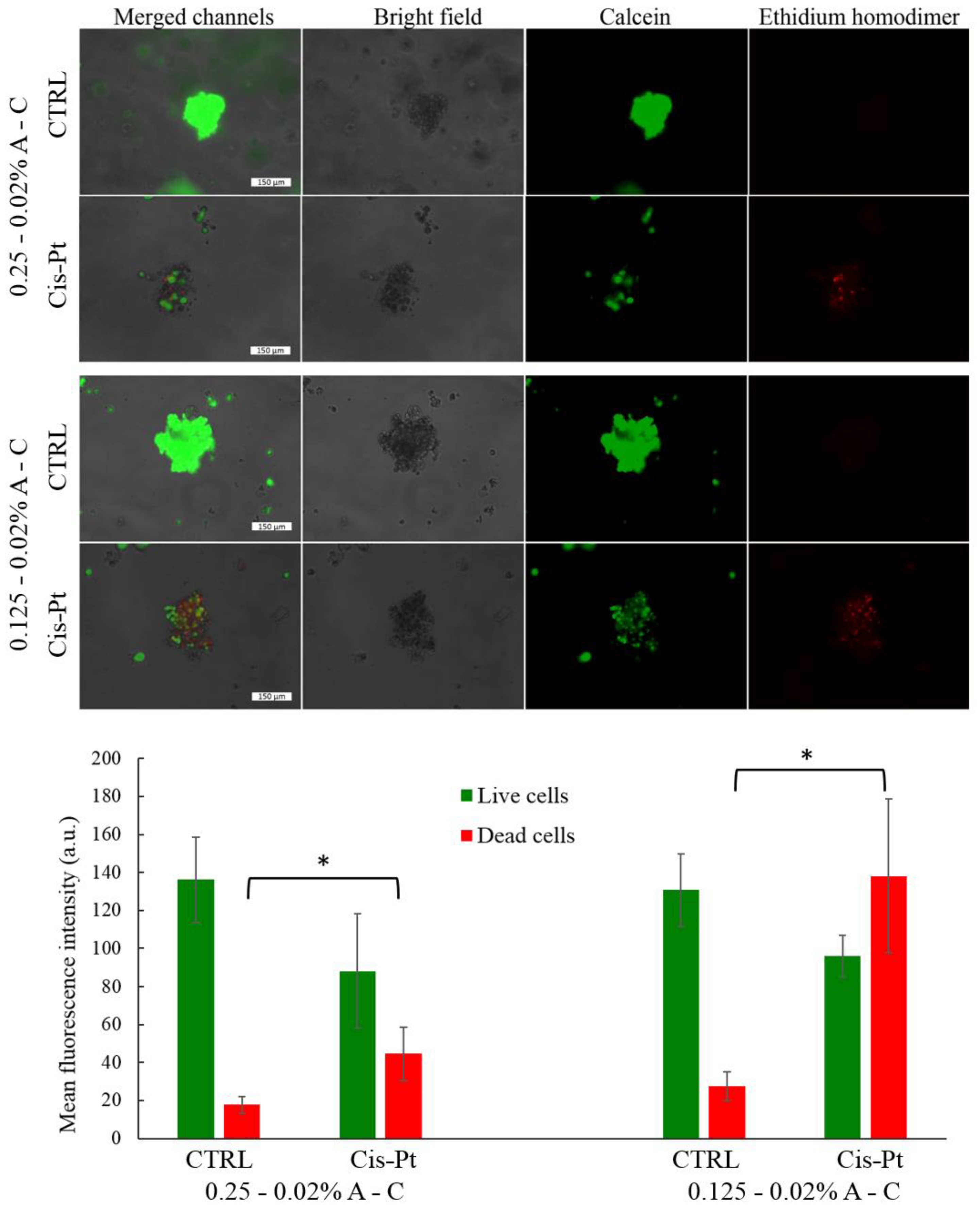 Pharmaceutics 13 00963 g008