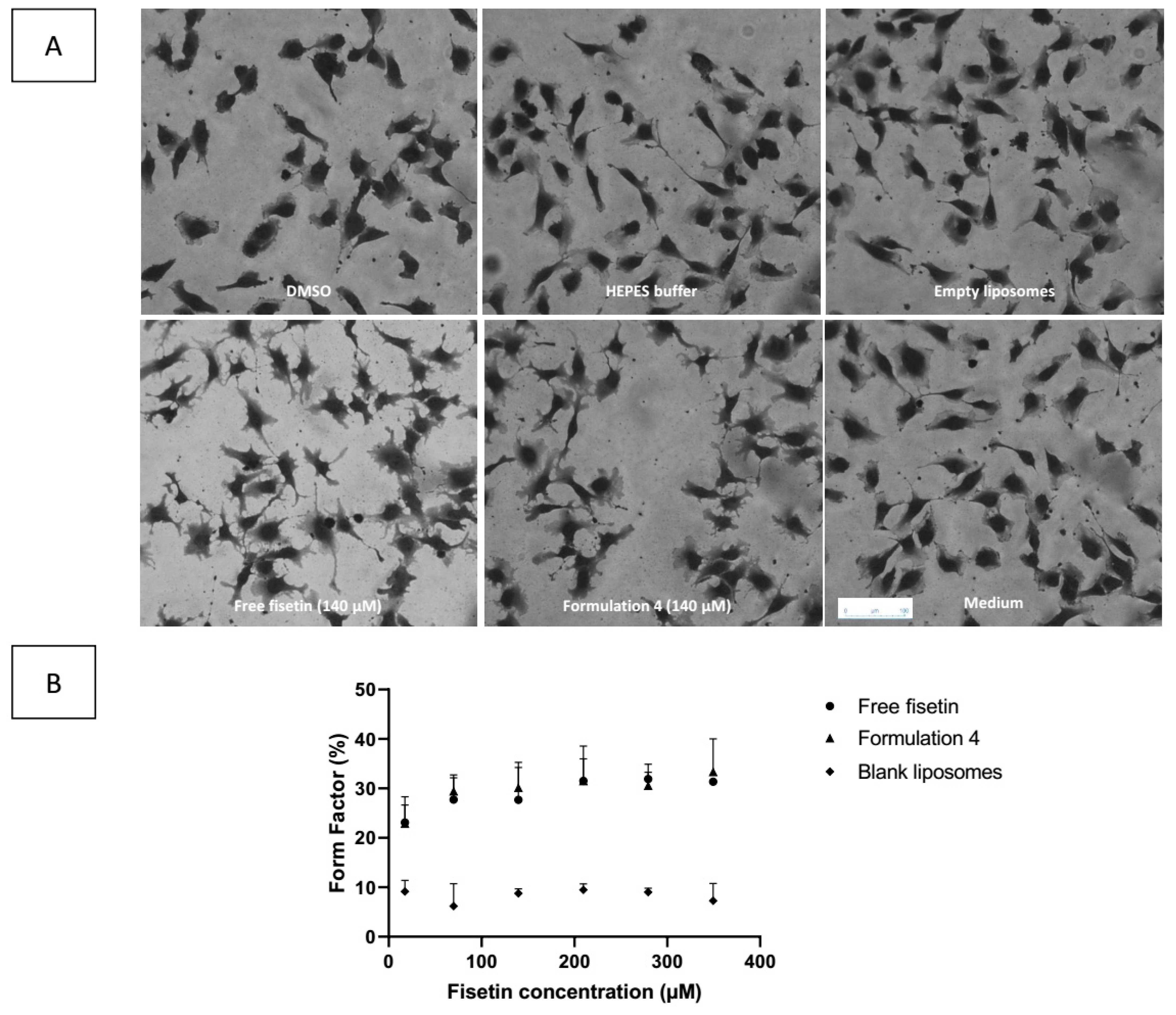 Pharmaceutics 13 00970 g006