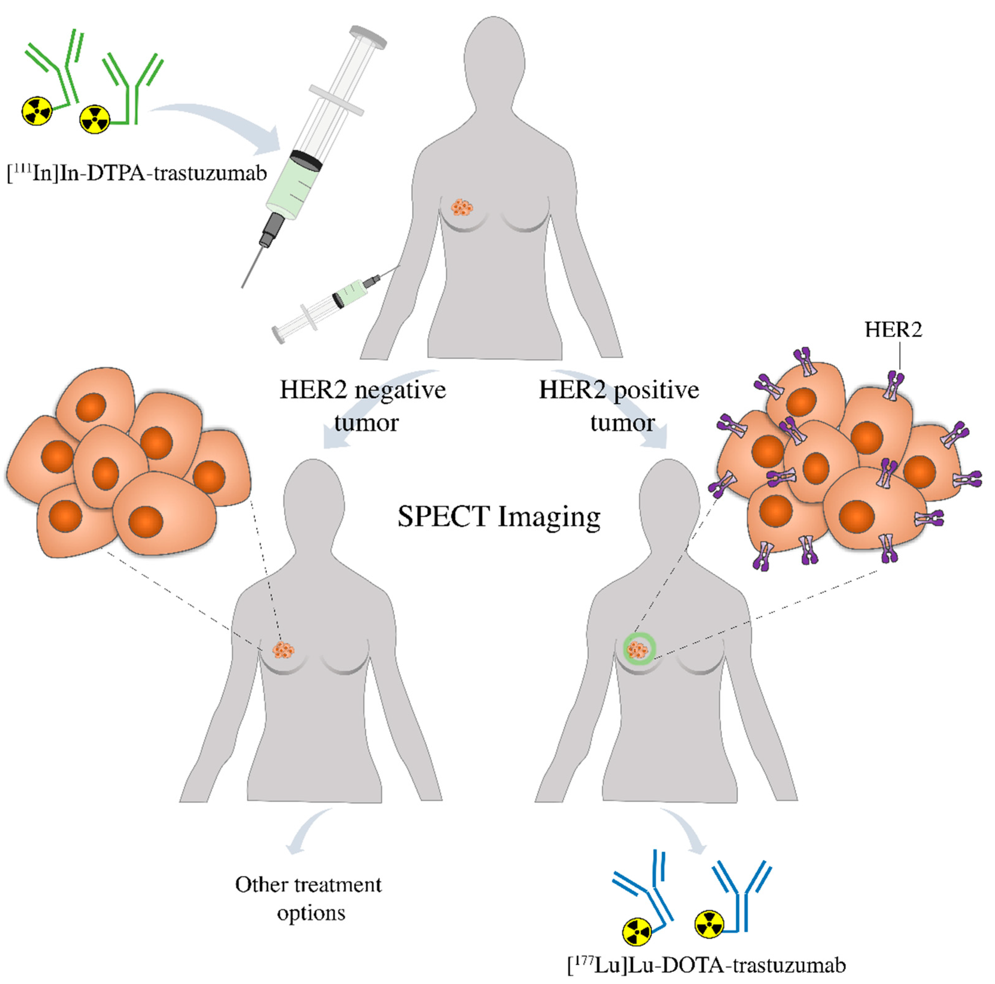 Pharmaceutics 13 00971 g008