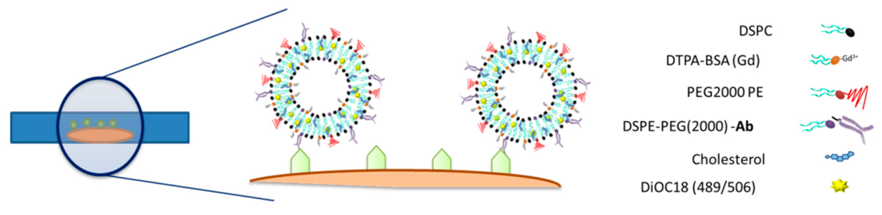 Pharmaceutics 13 00975 g005