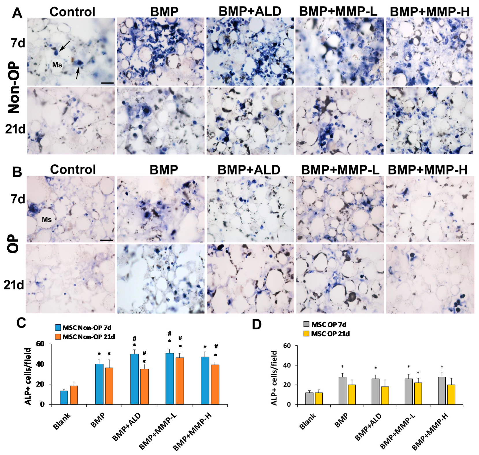 Pharmaceutics 13 00979 g006