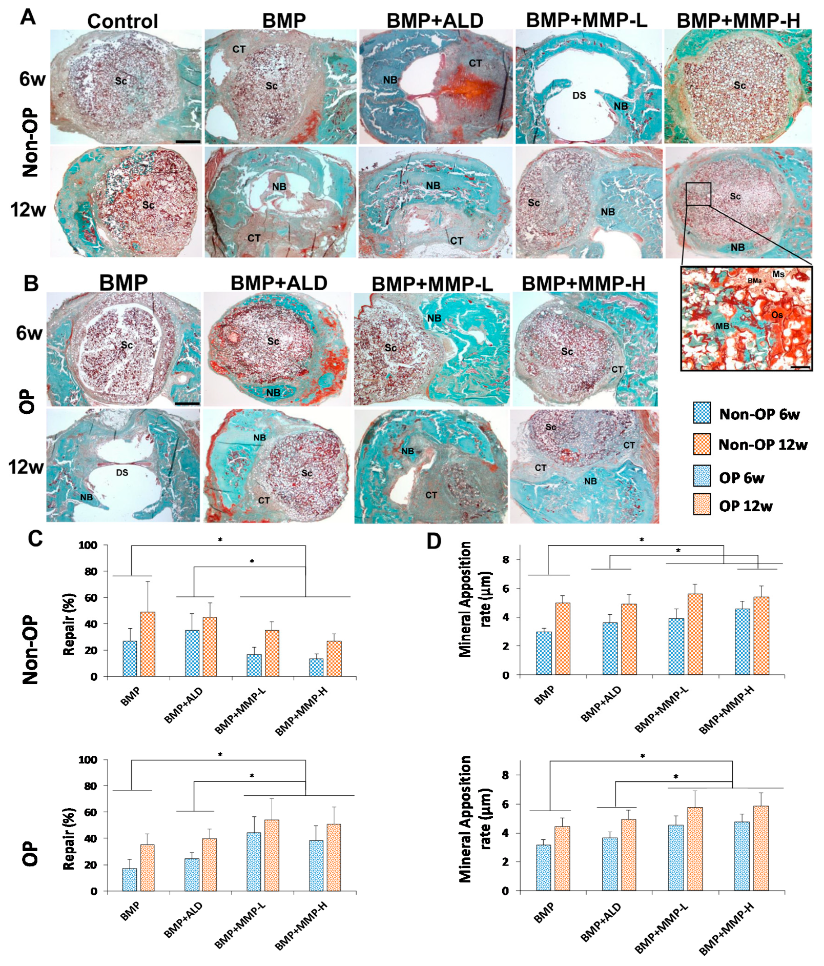 Pharmaceutics 13 00979 g009