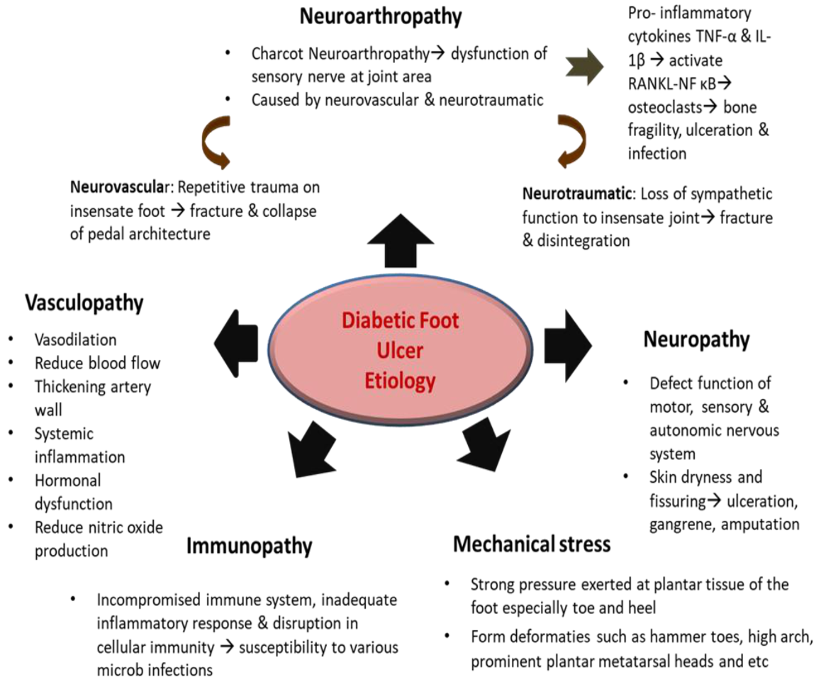 Pharmaceutics 13 00981 g003