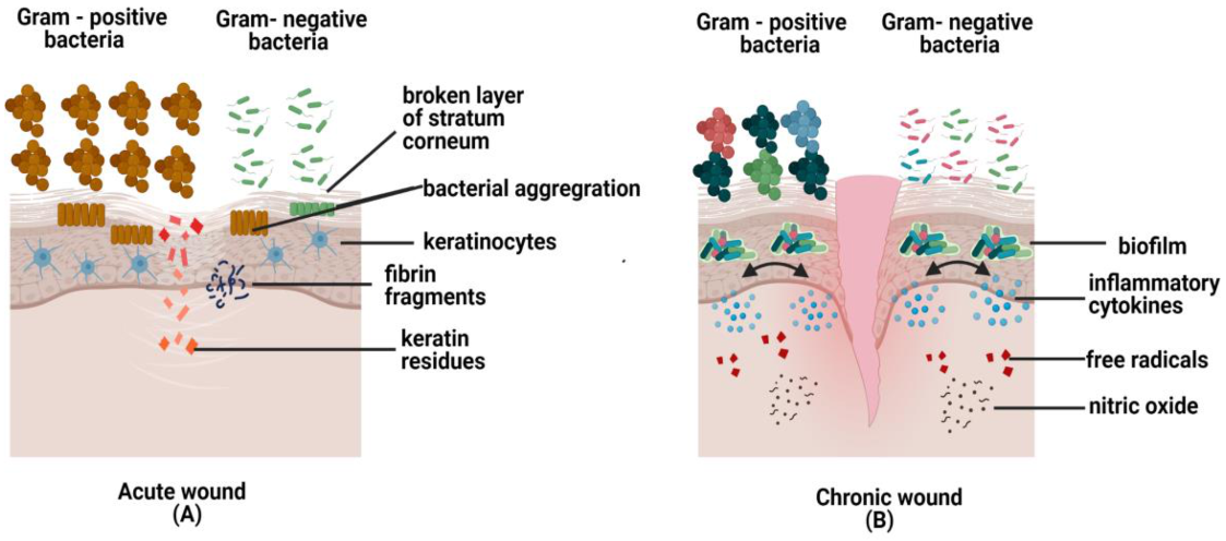 Pharmaceutics 13 00981 g005