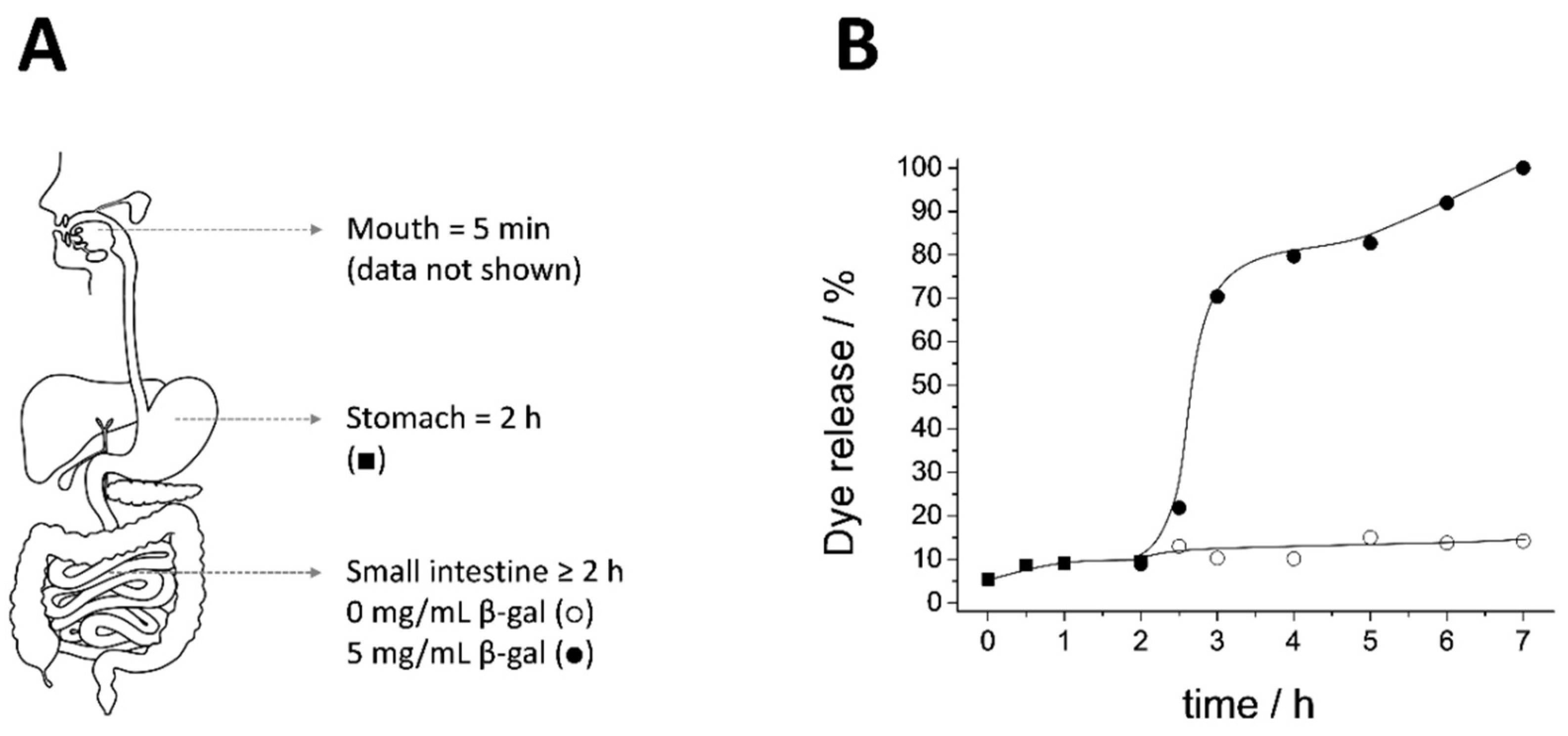 Pharmaceutics 13 00982 g004 Pharmaceutics 13 00982 g004