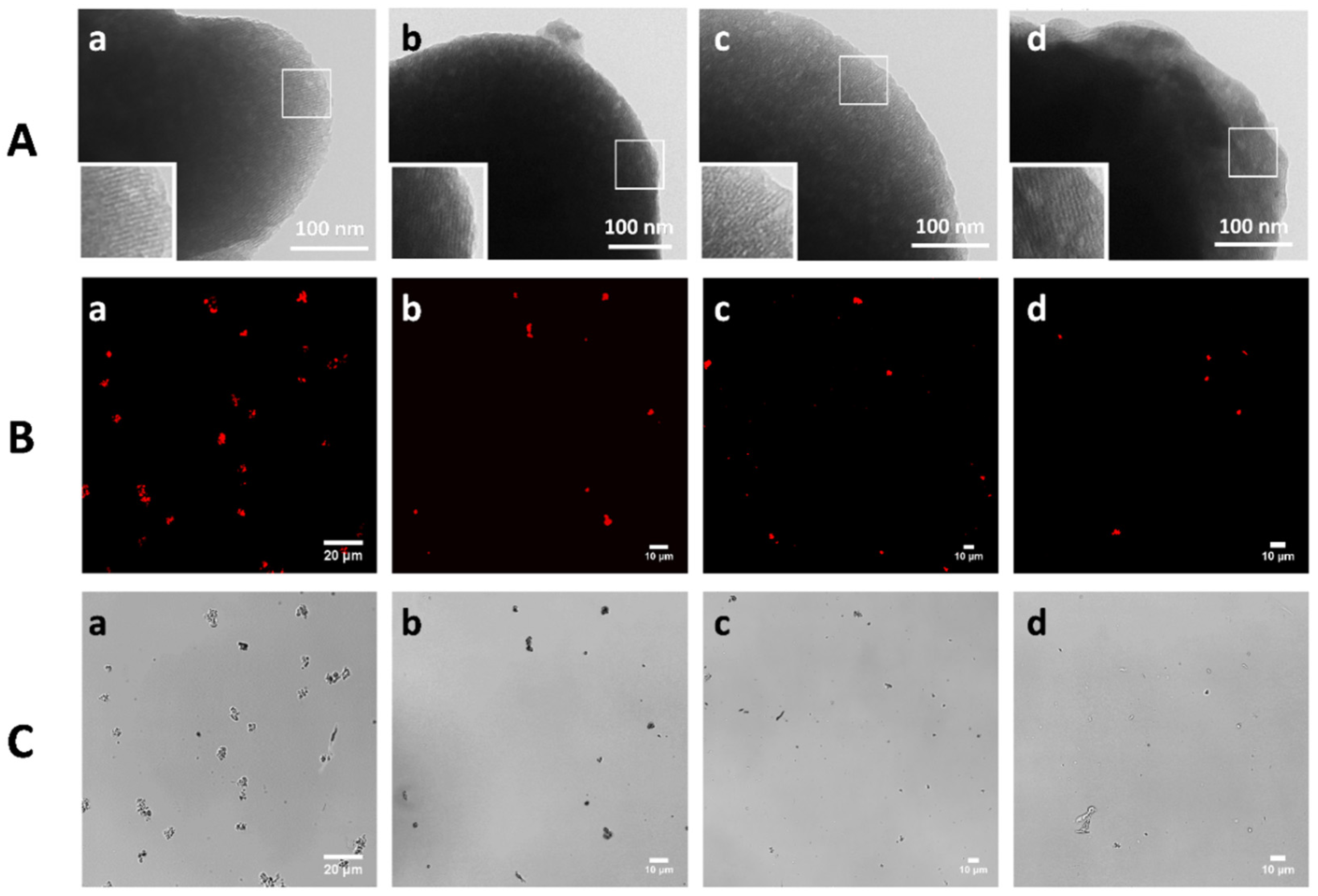 Pharmaceutics 13 00982 g005 Pharmaceutics 13 00982 g005