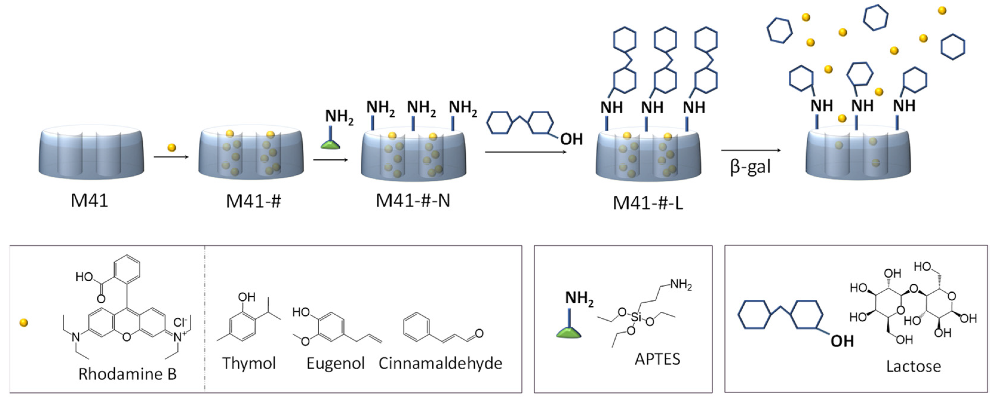 Pharmaceutics 13 00982 sch001 Pharmaceutics 13 00982 sch001