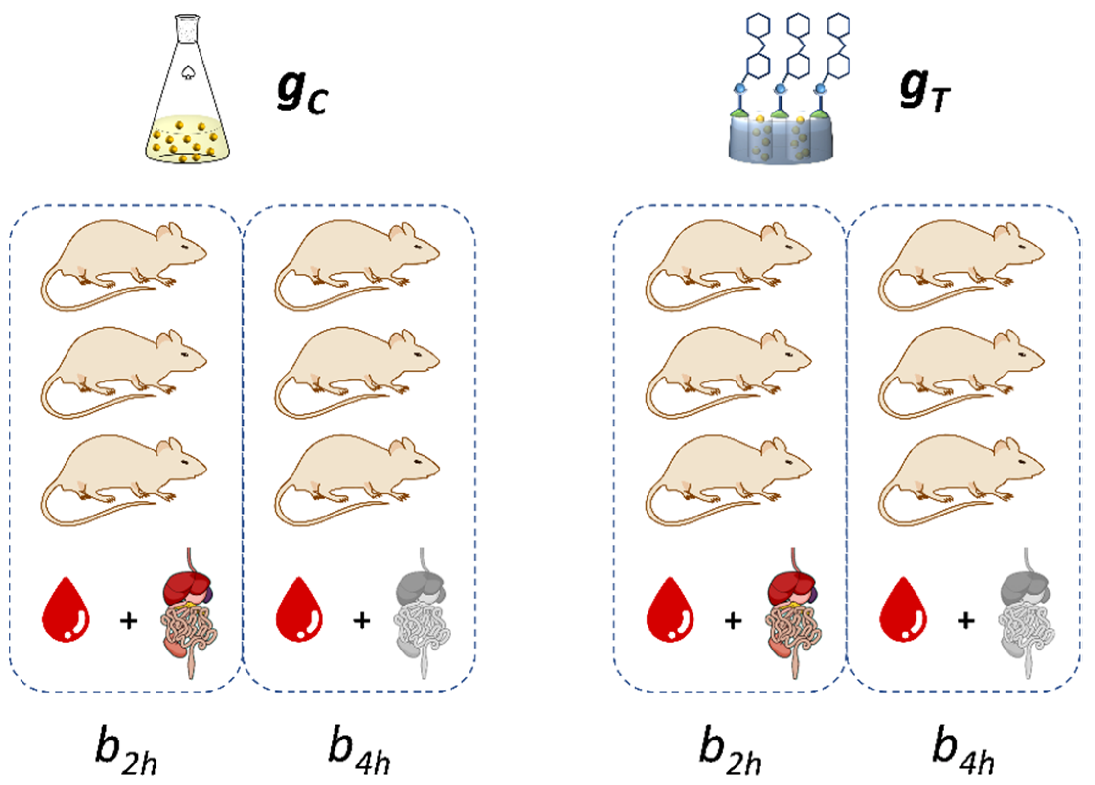 Pharmaceutics 13 00982 sch003 Pharmaceutics 13 00982 sch003
