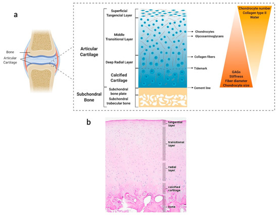 Pharmaceutics 13 00983 g001
