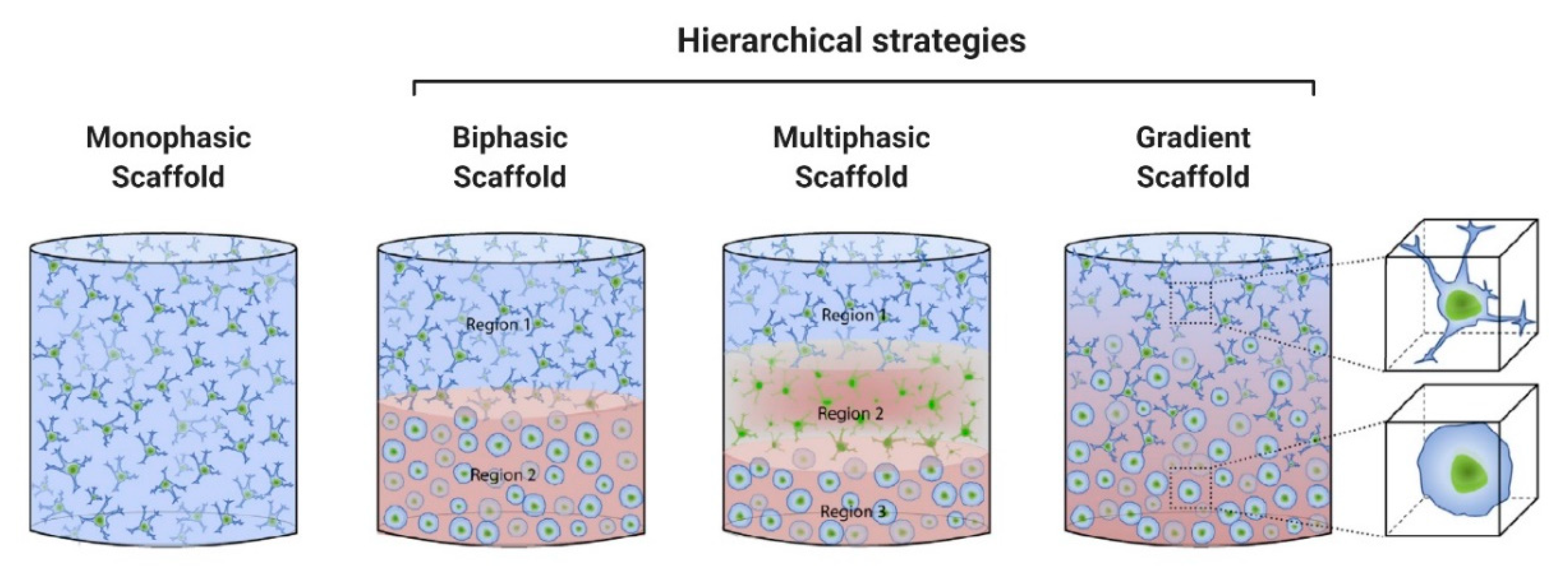 Pharmaceutics 13 00983 g002