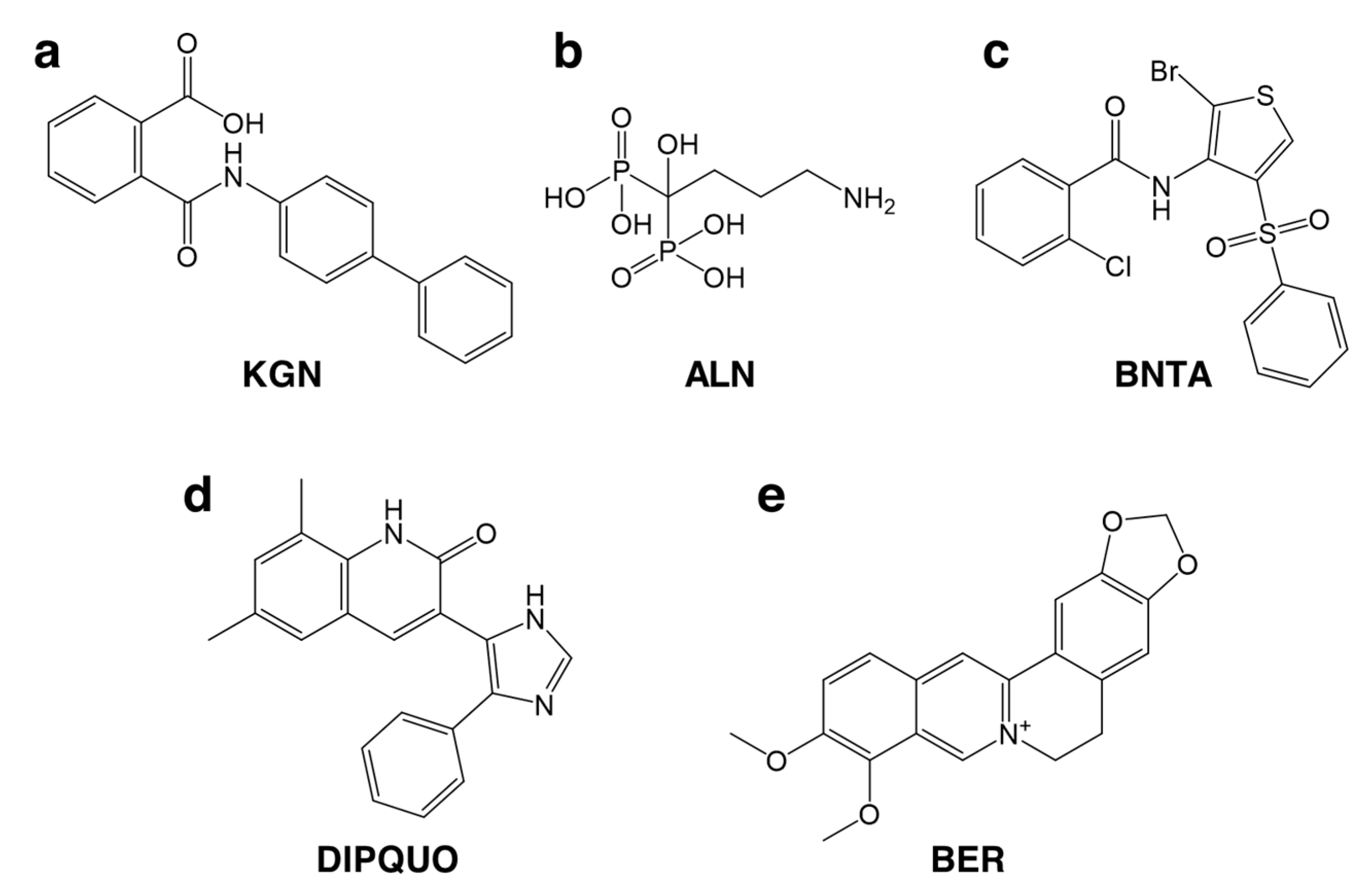 Pharmaceutics 13 00983 g003