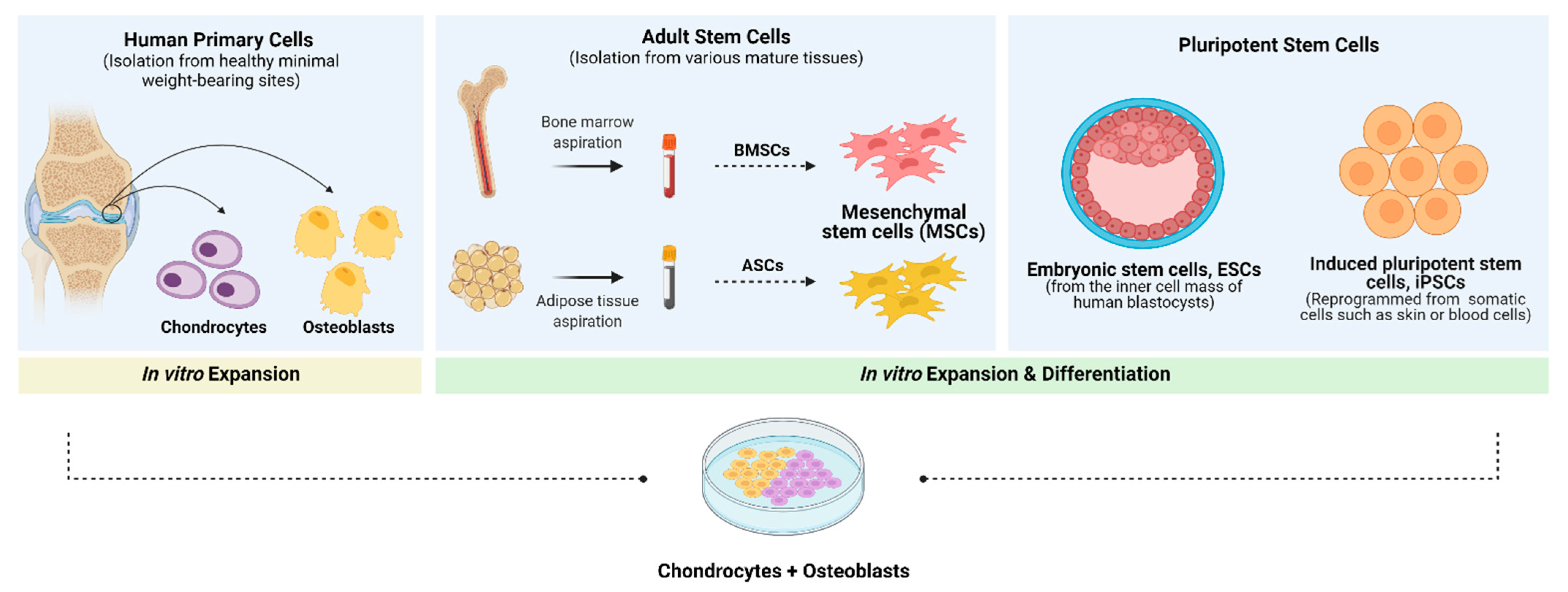 Pharmaceutics 13 00983 g004