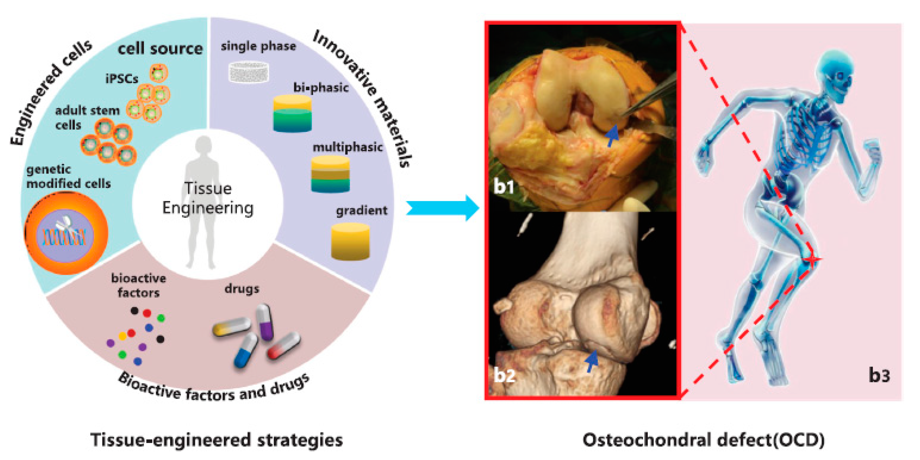 Pharmaceutics 13 00983 g005