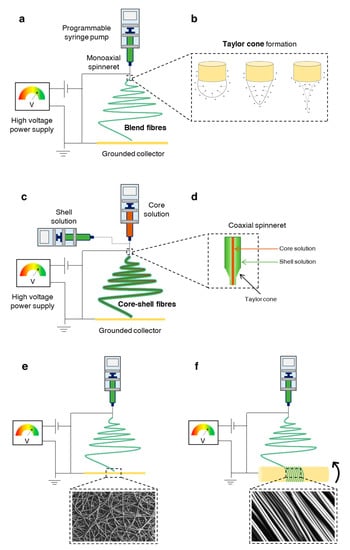 Pharmaceutics 13 00983 g007