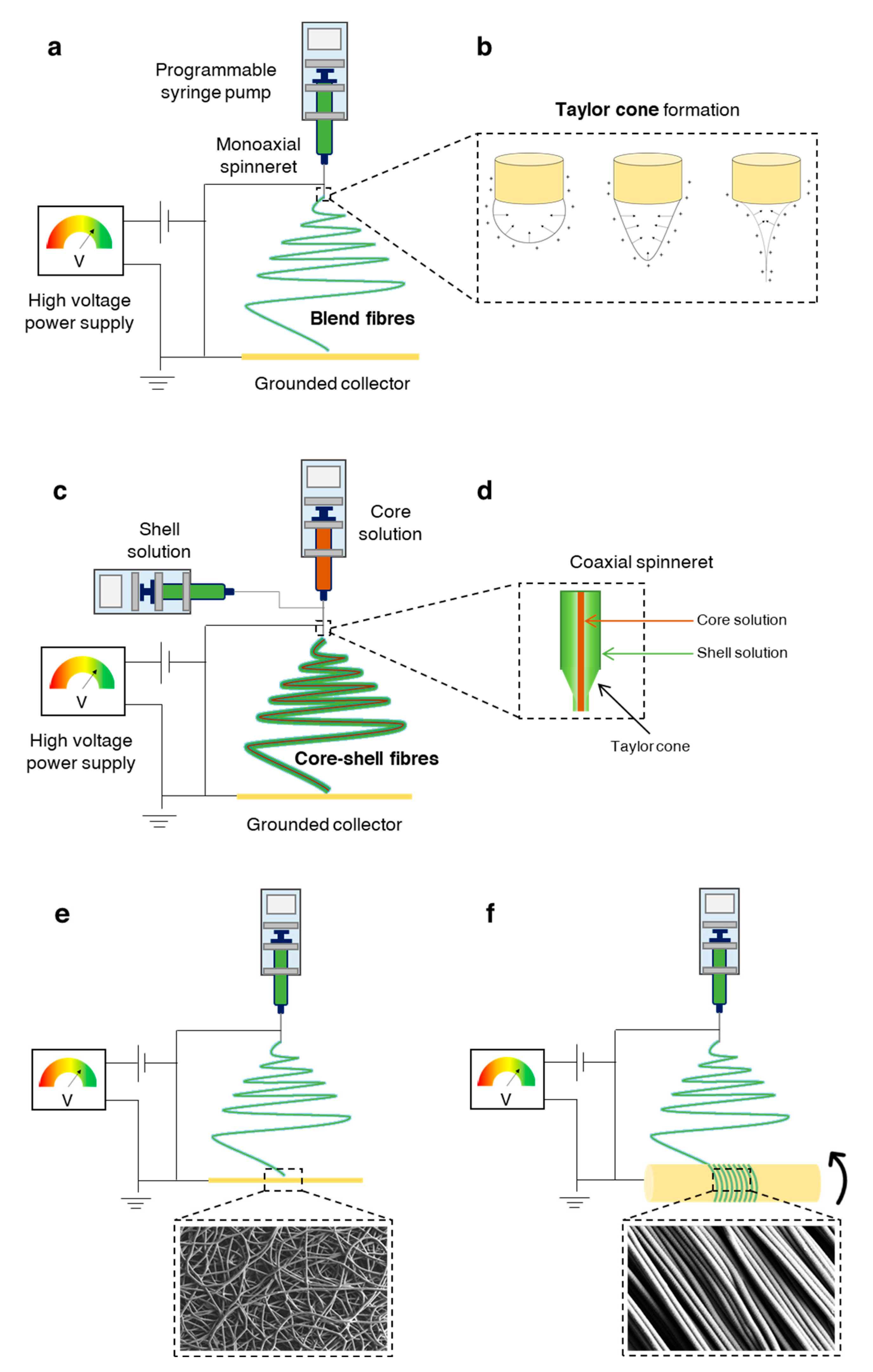 Pharmaceutics 13 00983 g007