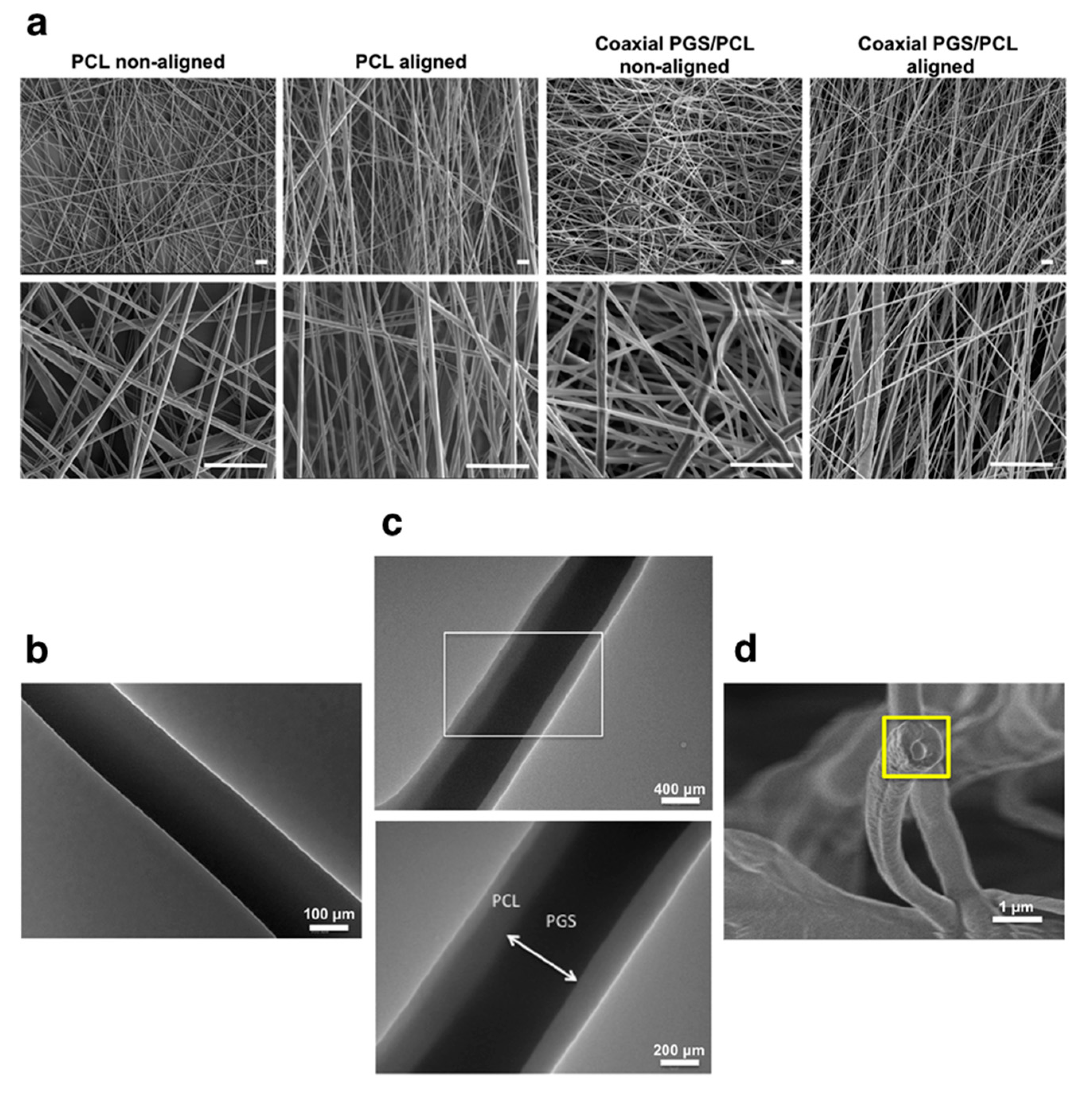 Pharmaceutics 13 00983 g009