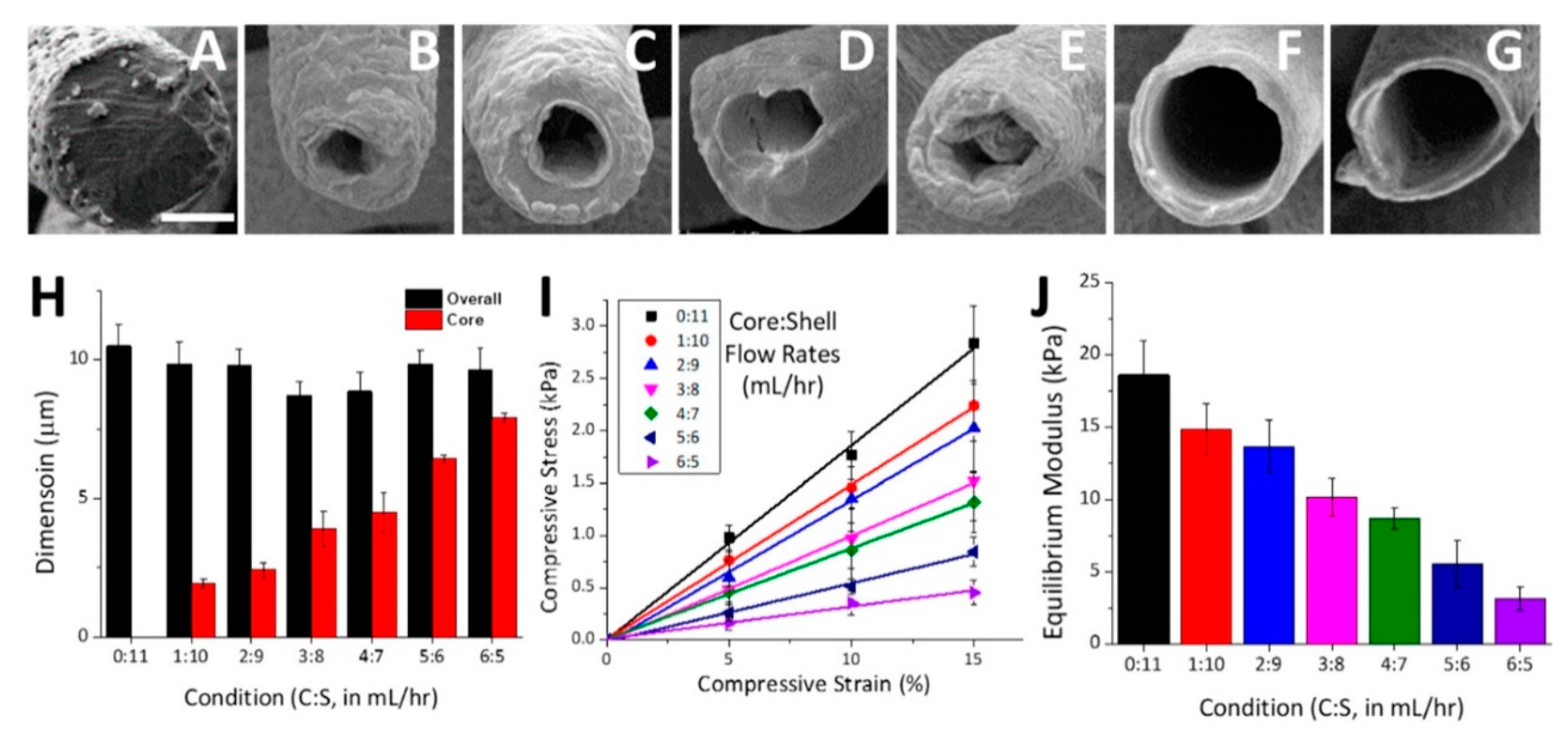 Pharmaceutics 13 00983 g010