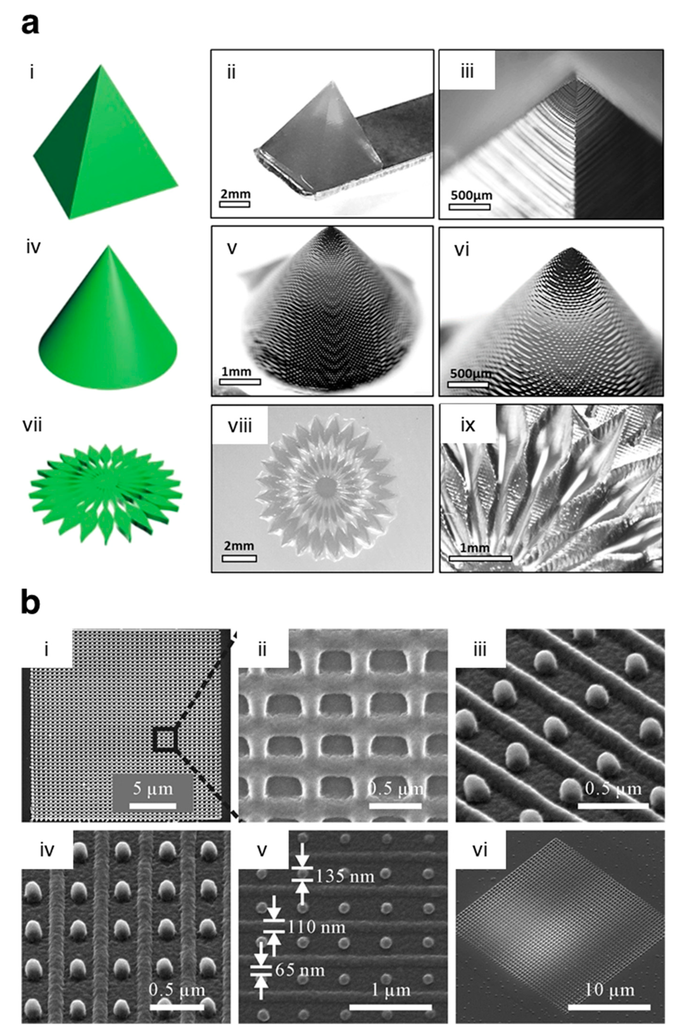 Pharmaceutics 13 00983 g014