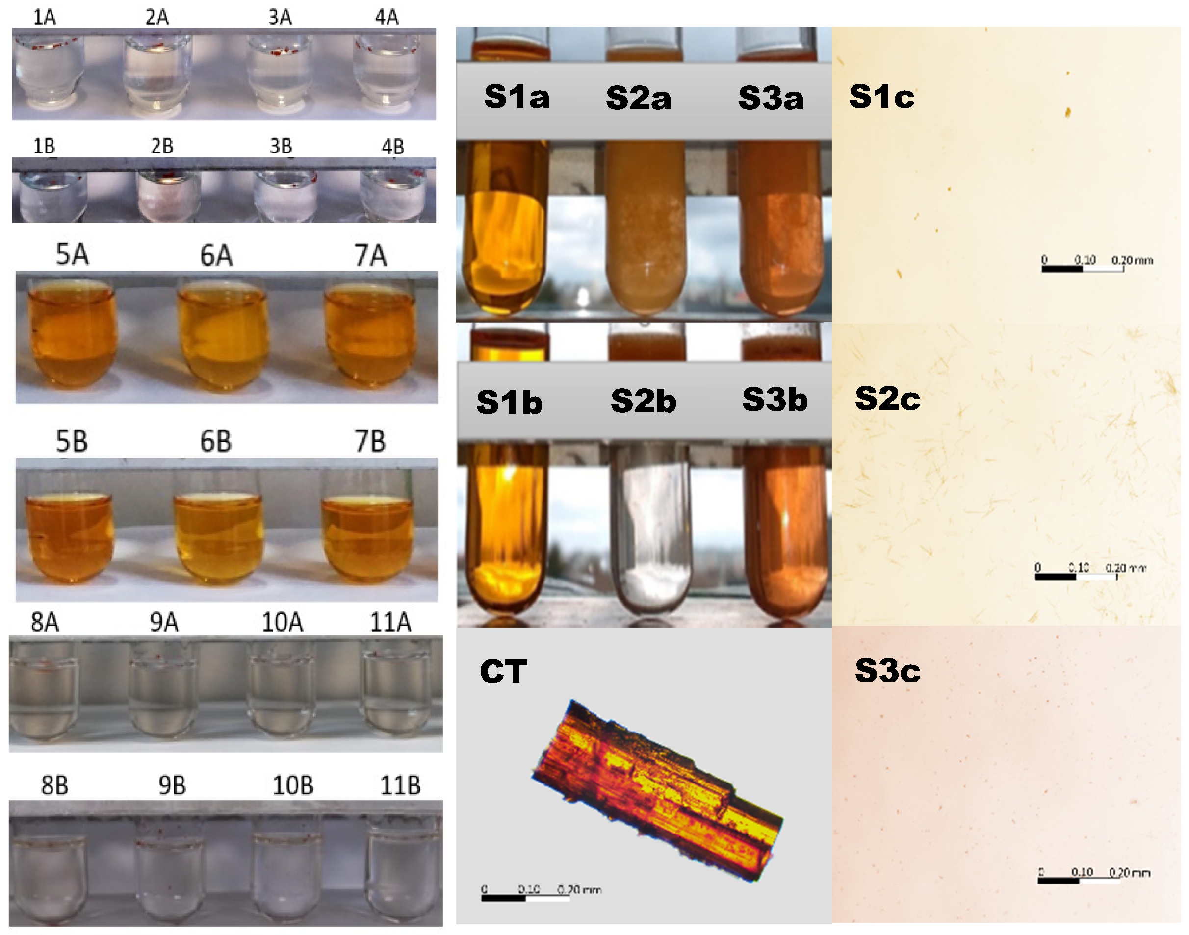 Pharmaceutics 13 00992 g003