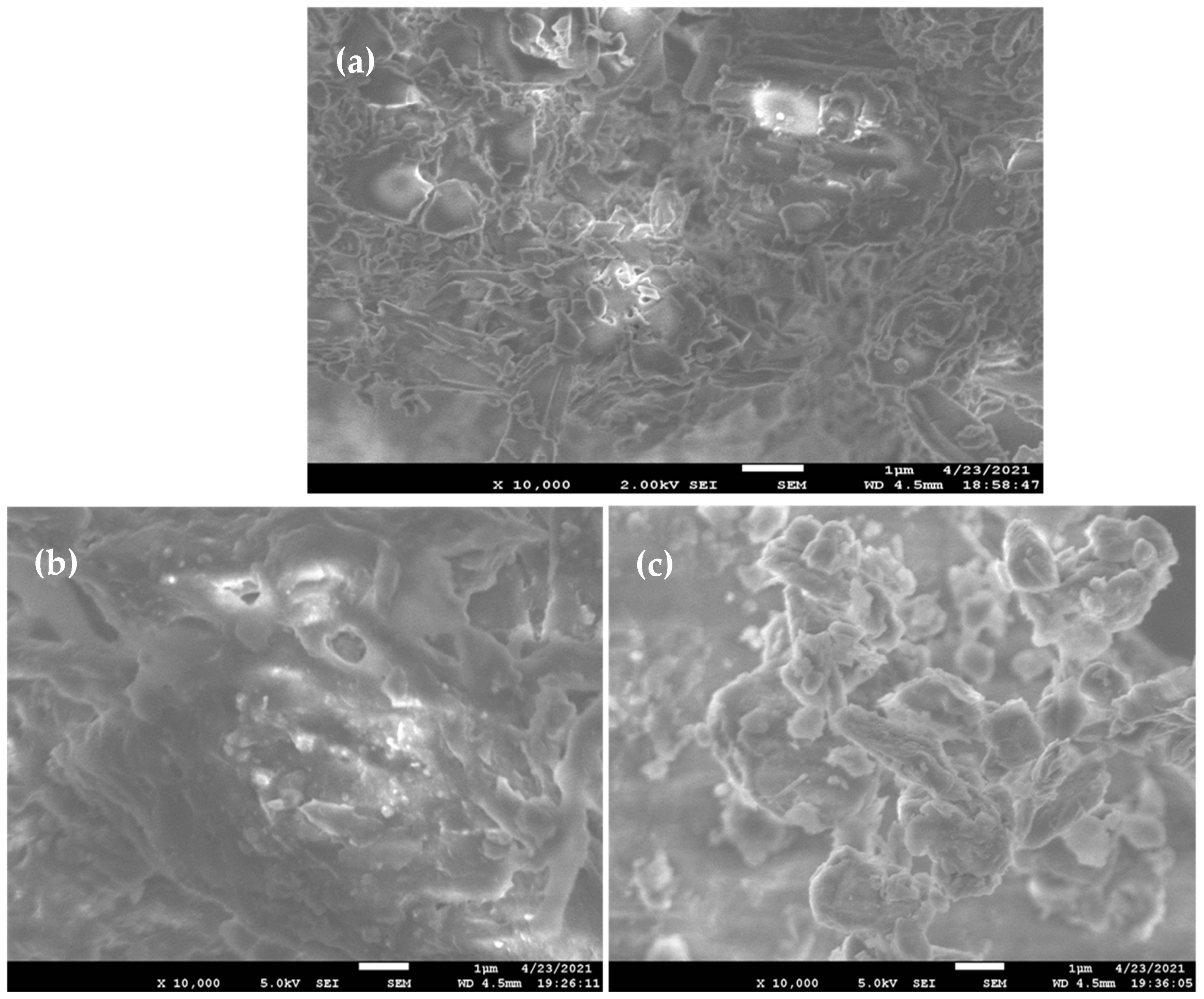 Pharmaceutics 13 00993 g006