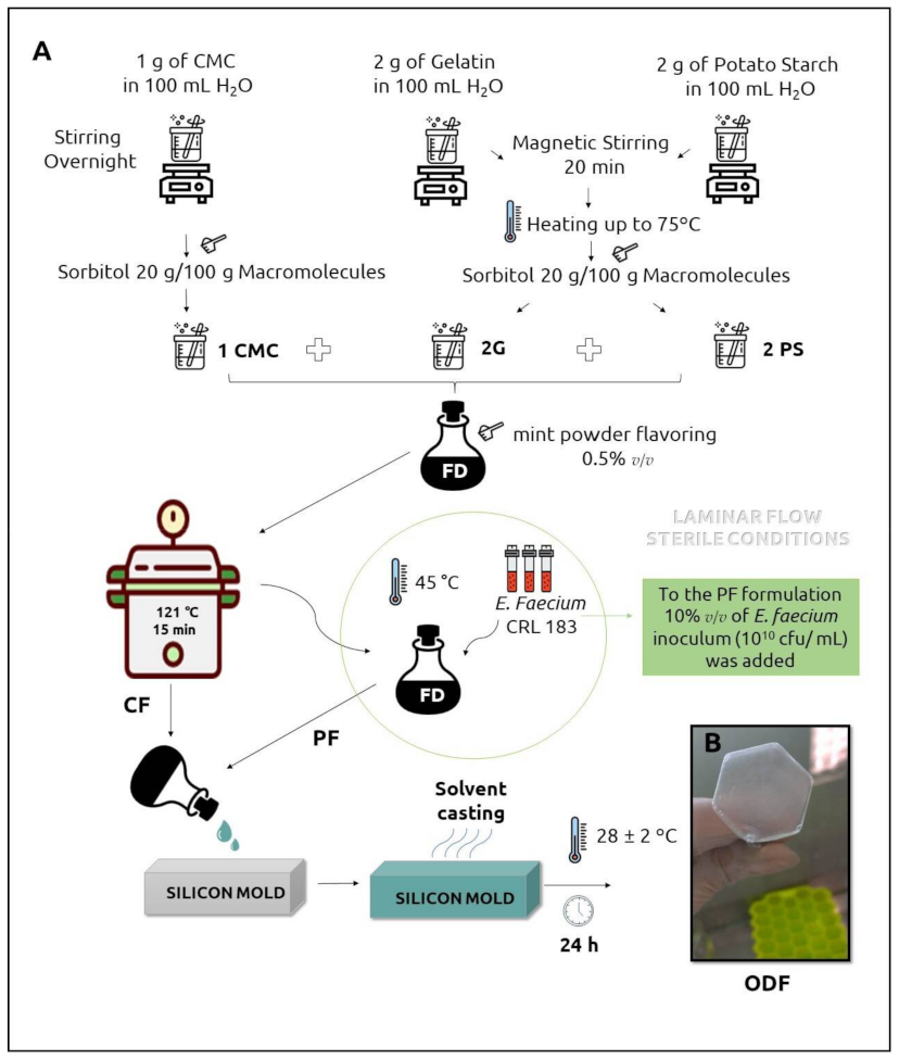 Pharmaceutics 13 00998 g001 Pharmaceutics 13 00998 g001