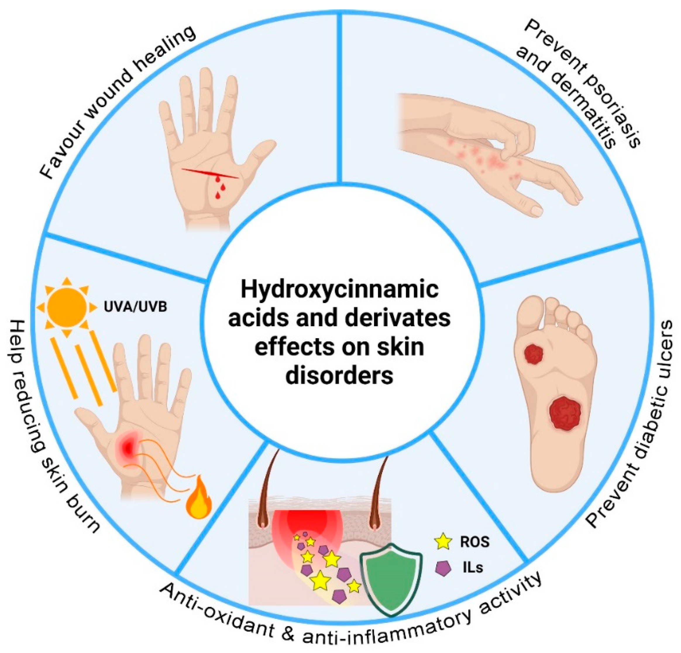 Pharmaceutics 13 00999 g003