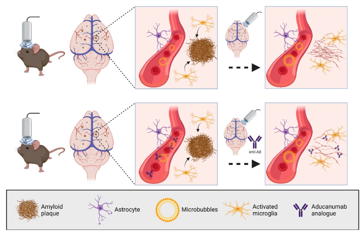 Pharmaceutics 13 01002 g002