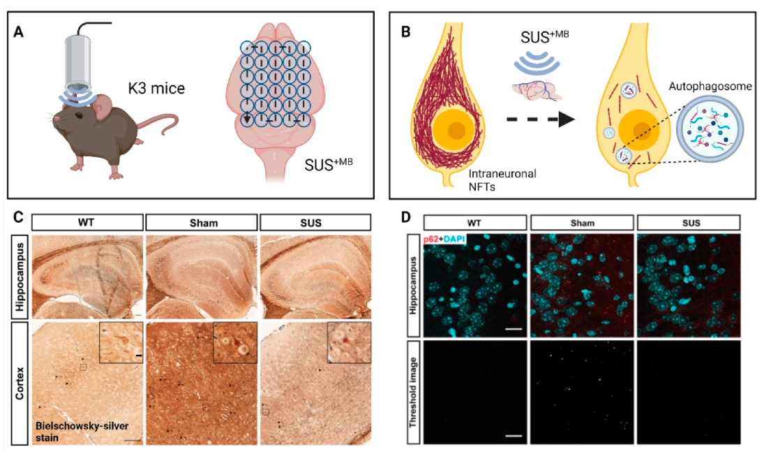 Pharmaceutics 13 01002 g003