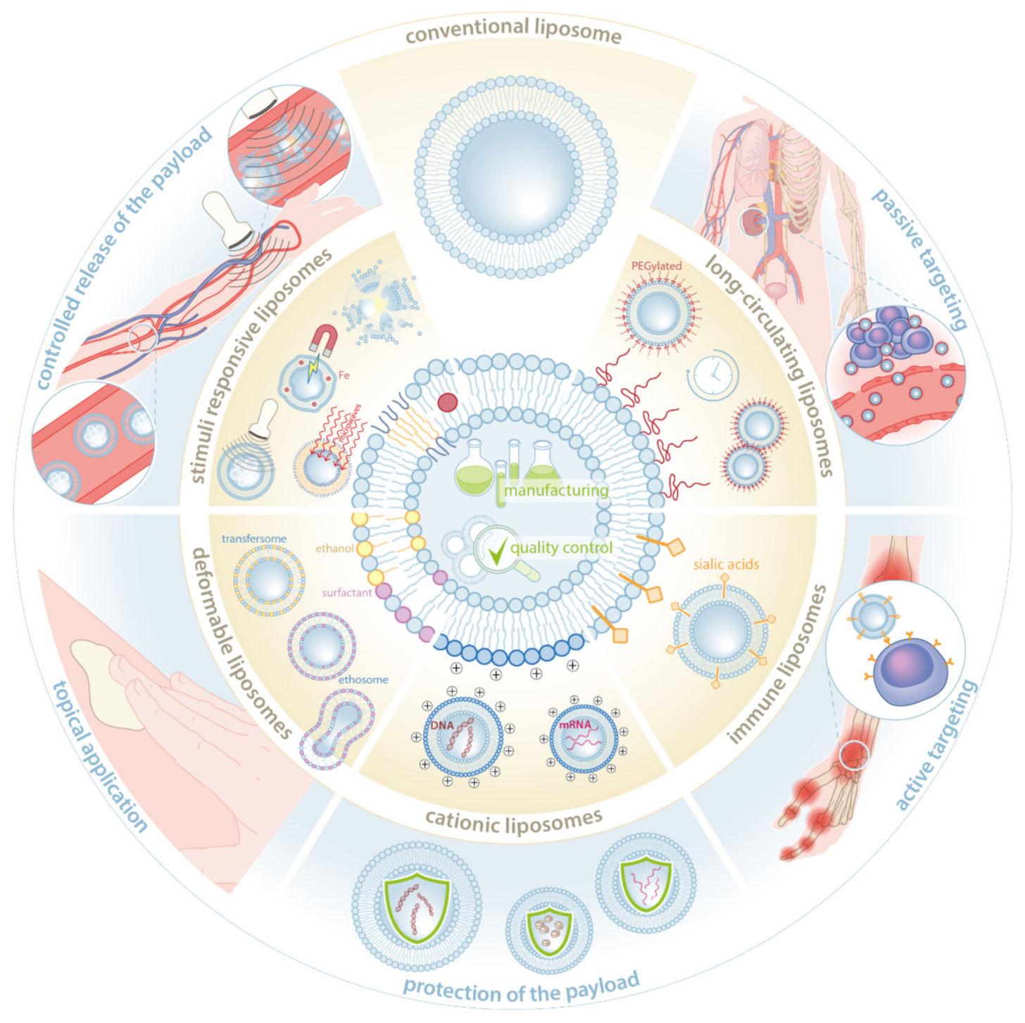 Pharmaceutics 13 01004 g001