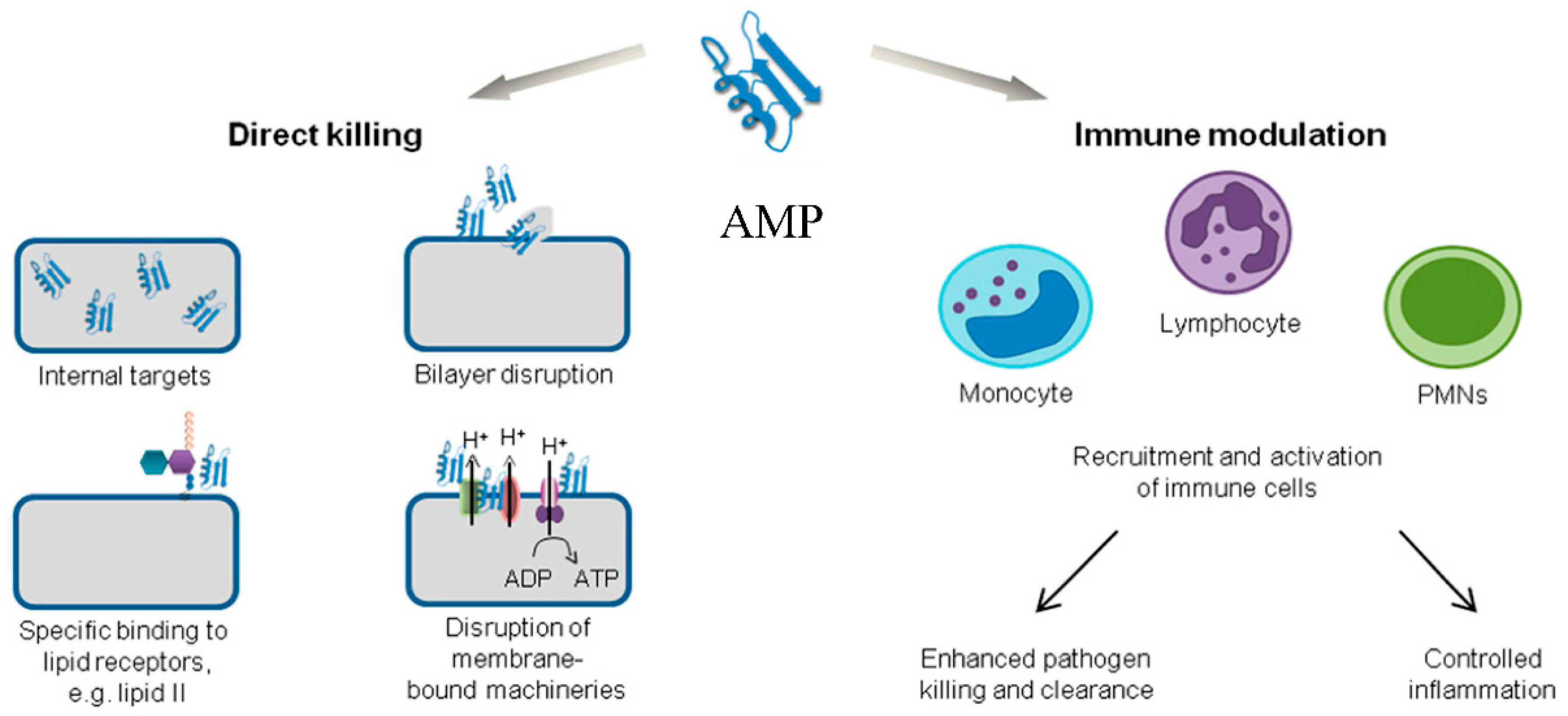 Pharmaceutics 13 01012 g002