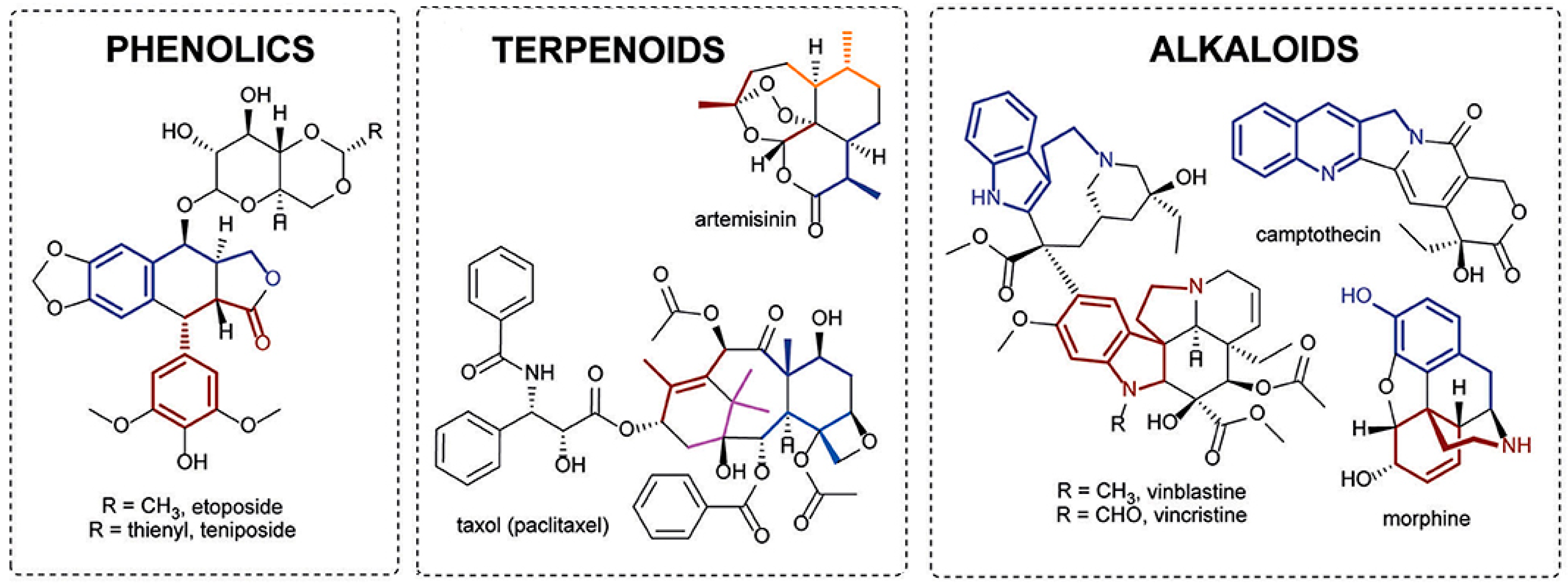 Pharmaceutics 13 01012 g003
