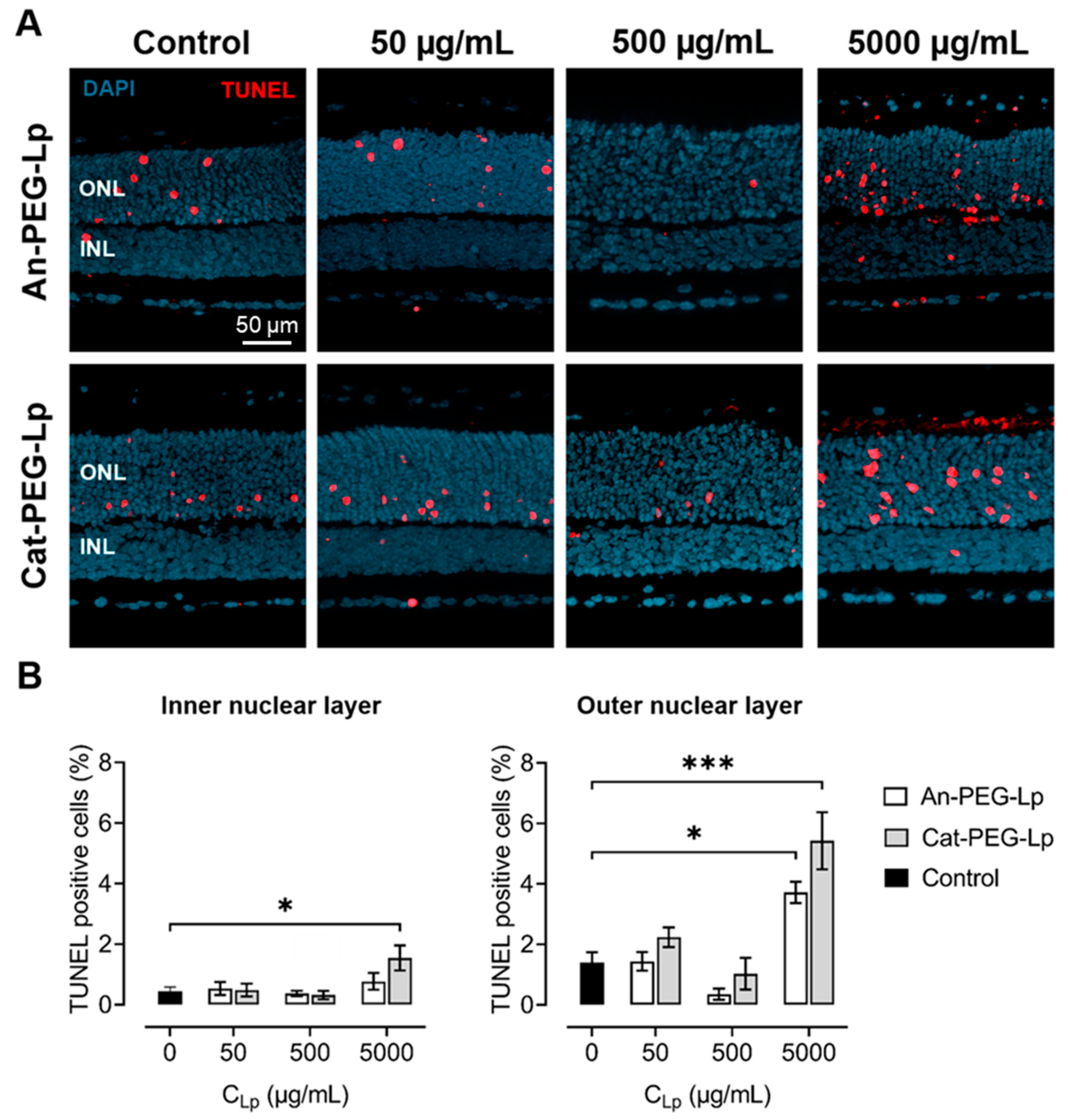 Pharmaceutics 13 01013 g004