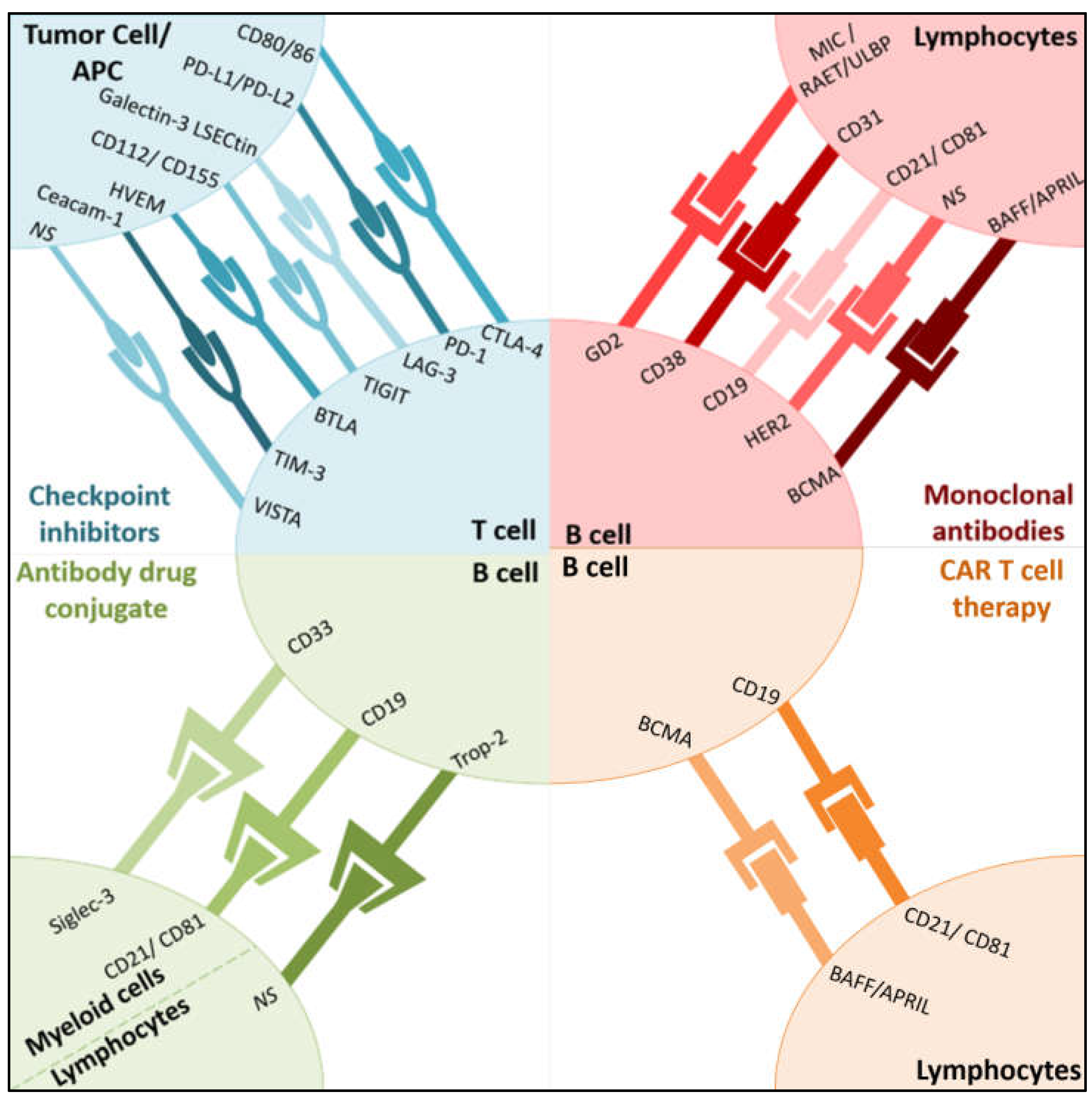 Pharmaceutics 13 01016 g001