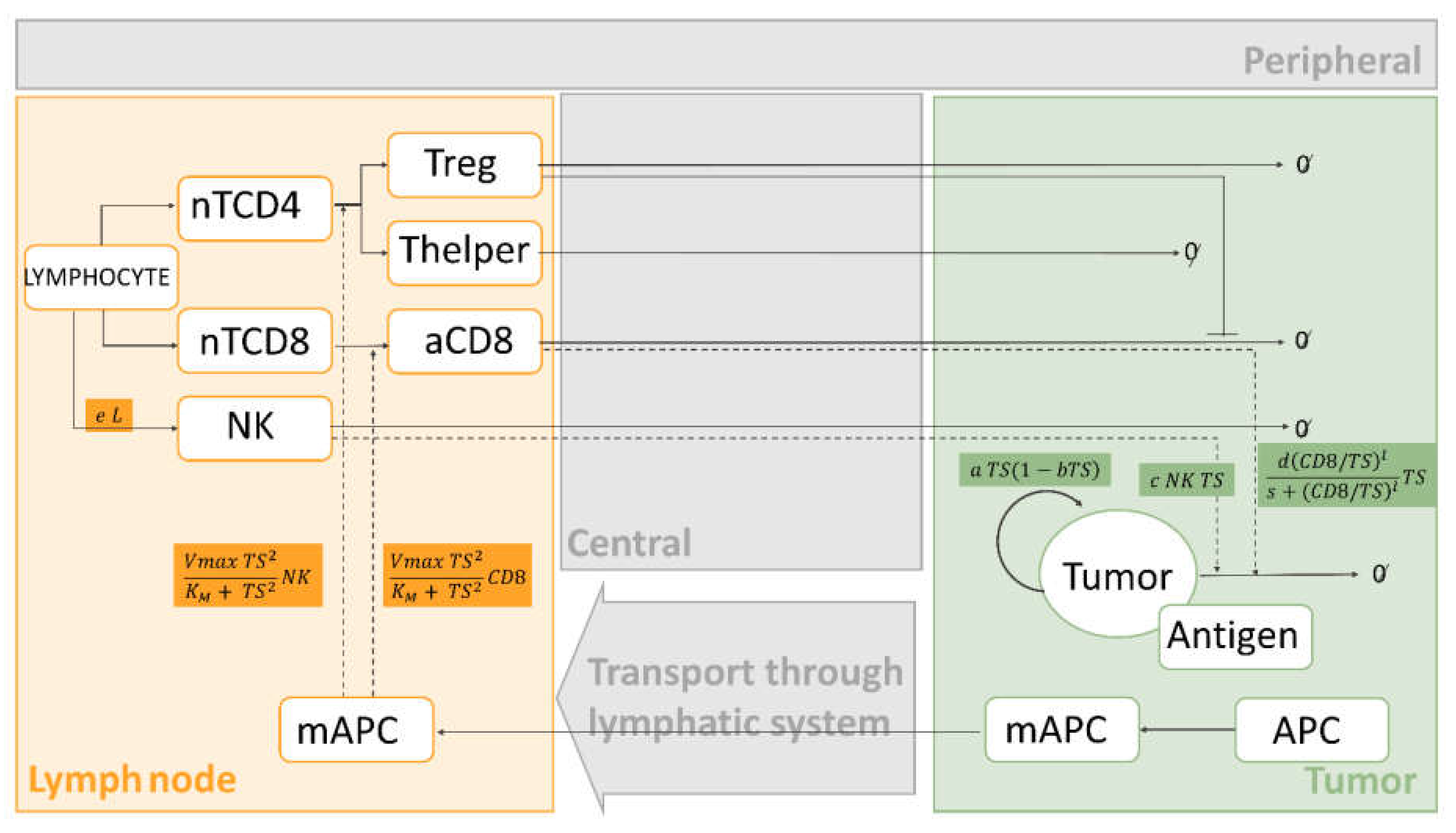 Pharmaceutics 13 01016 g003