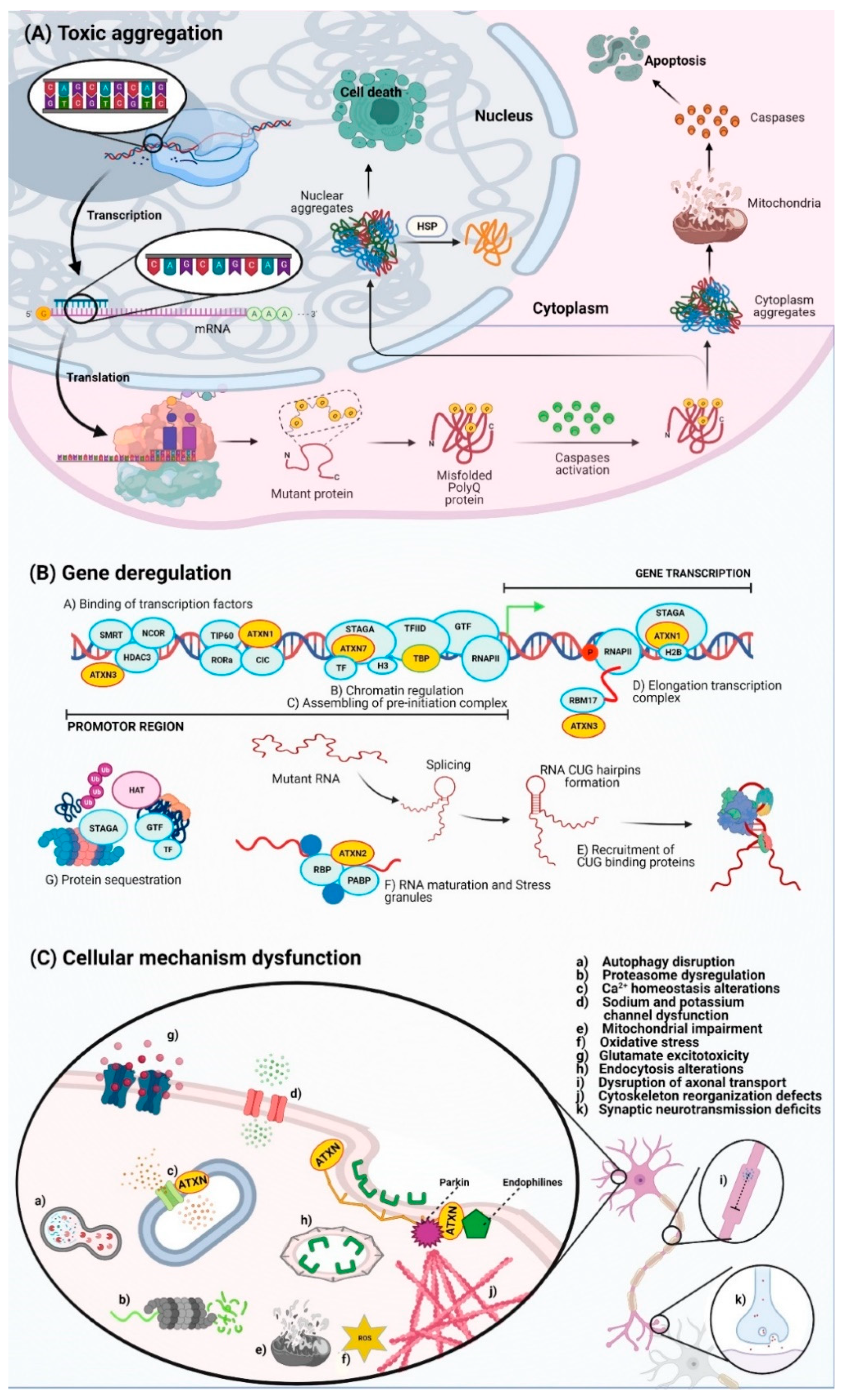 Pharmaceutics 13 01018 g001