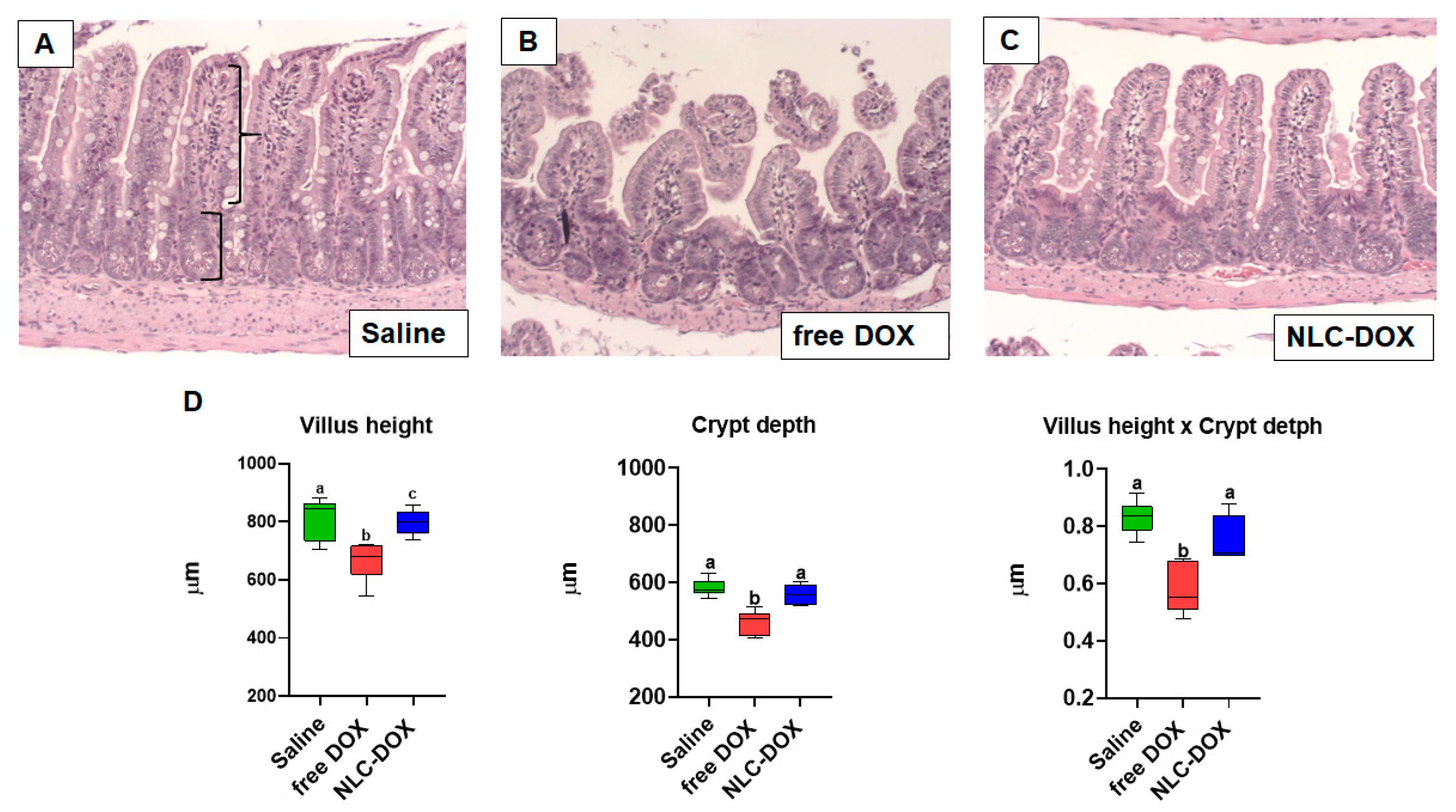 Pharmaceutics 13 01021 g005