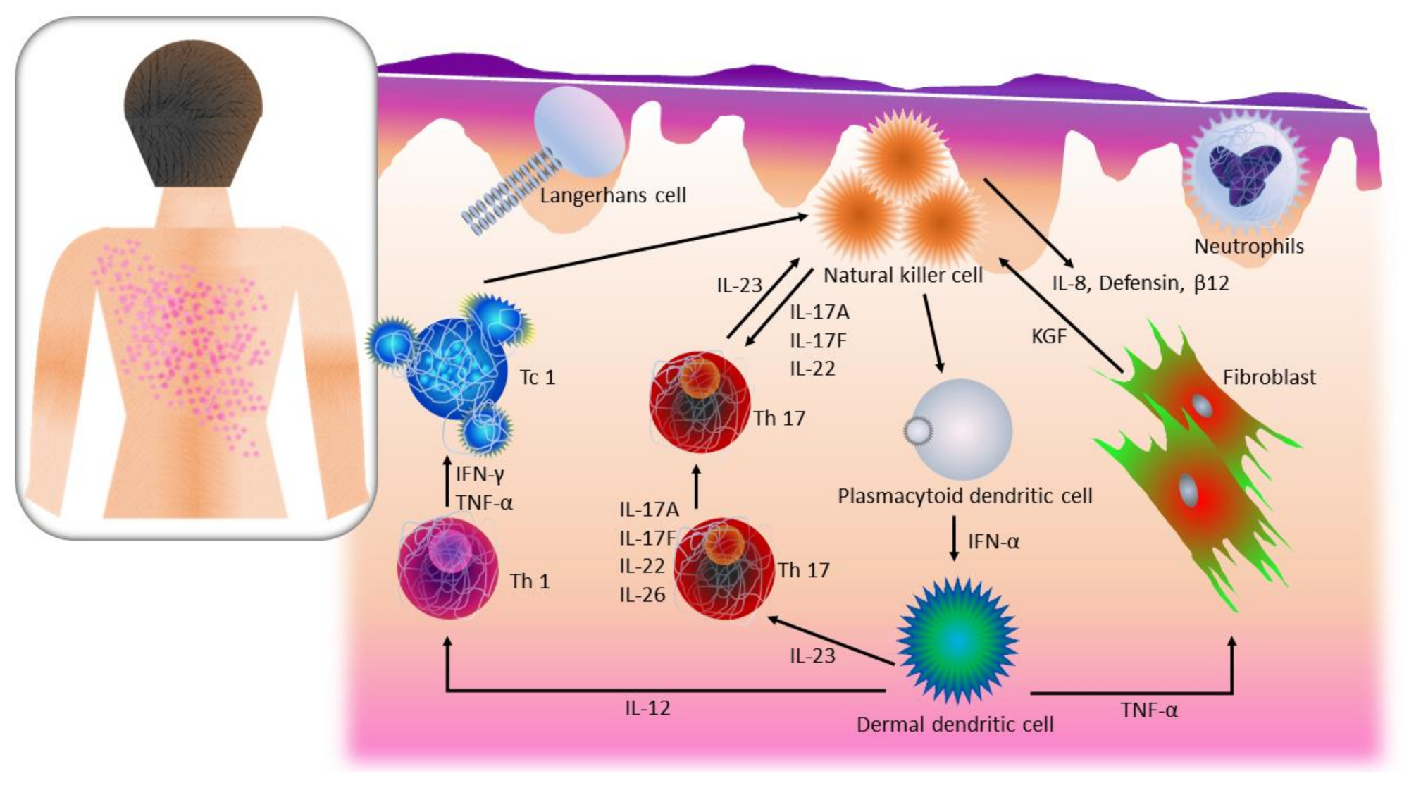 Pharmaceutics 13 01024 g001