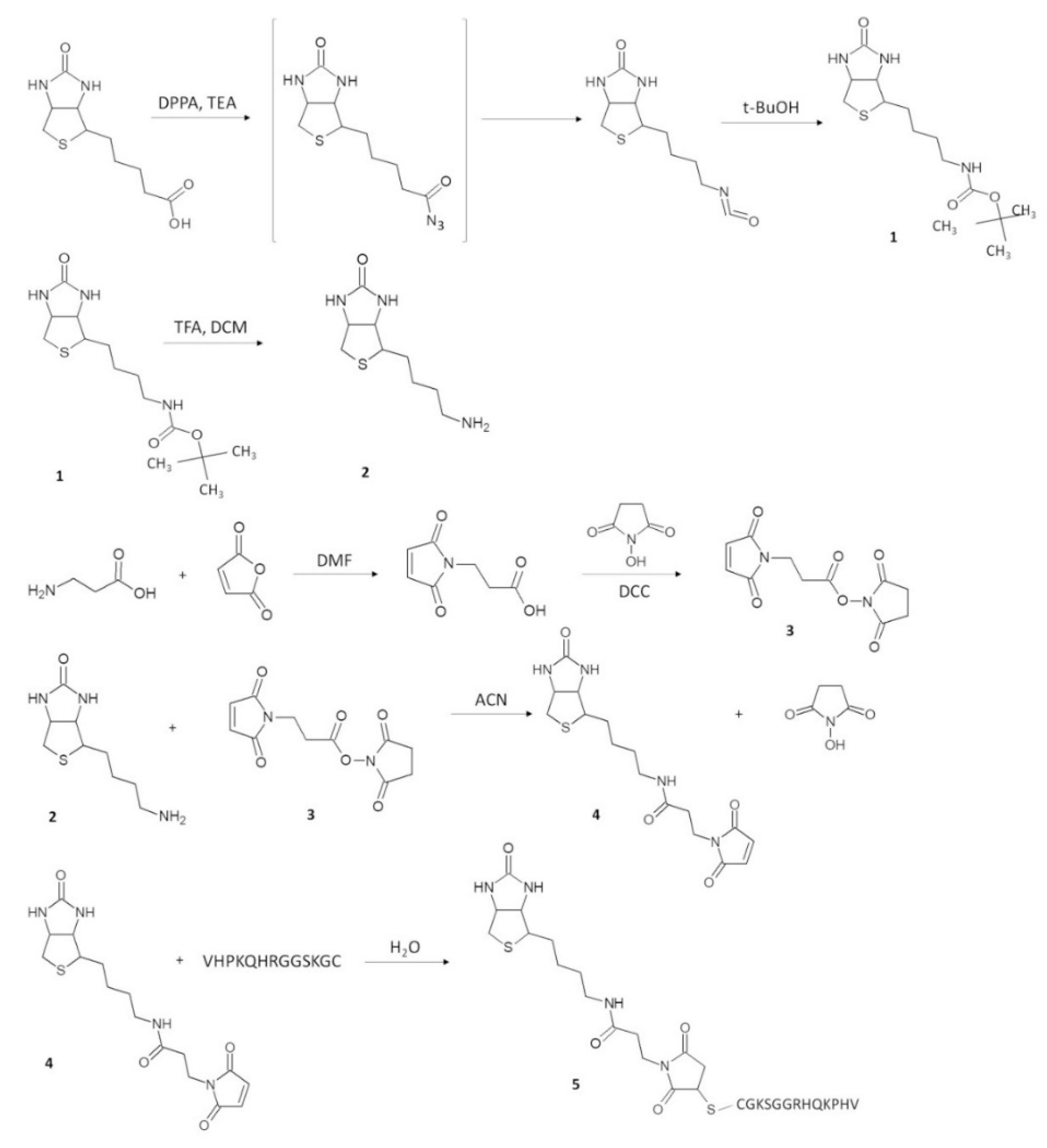 Pharmaceutics 13 01025 g003 Pharmaceutics 13 01025 g003