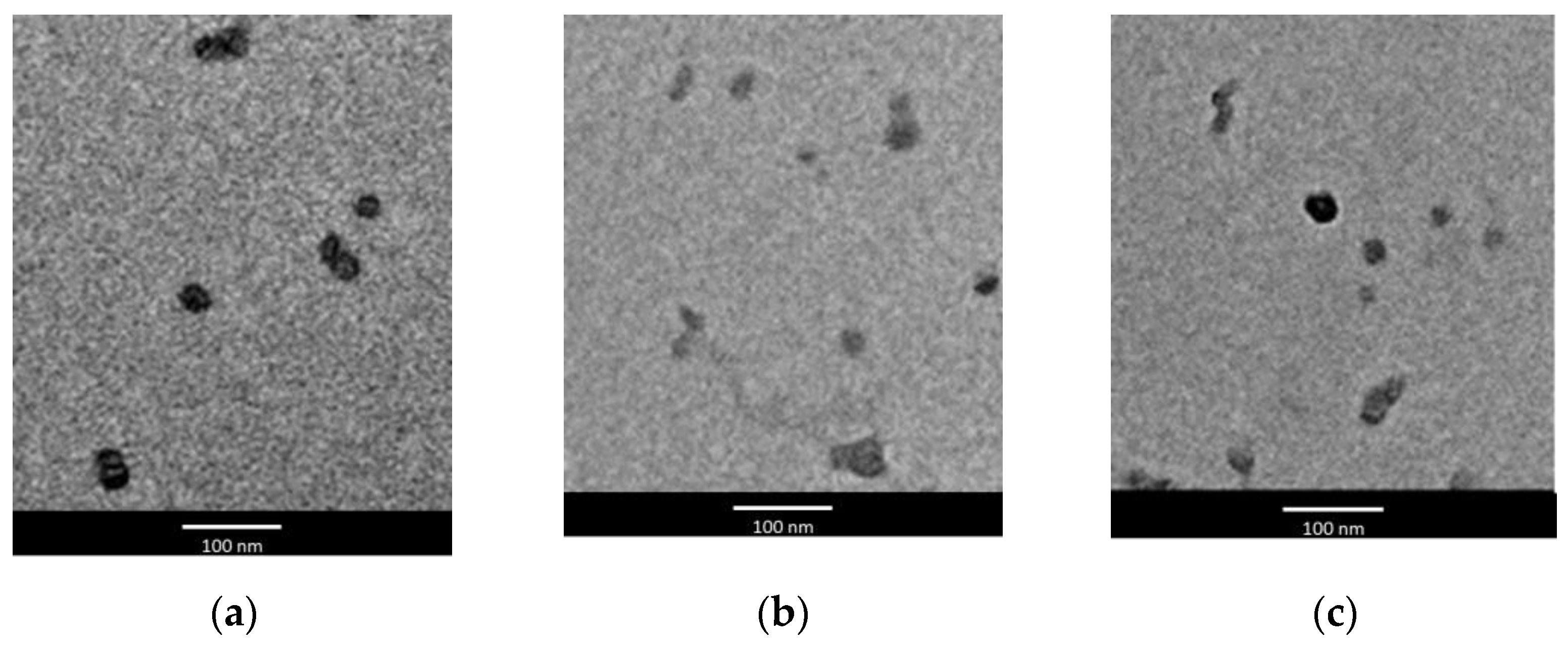 Pharmaceutics 13 01027 g001 Pharmaceutics 13 01027 g001