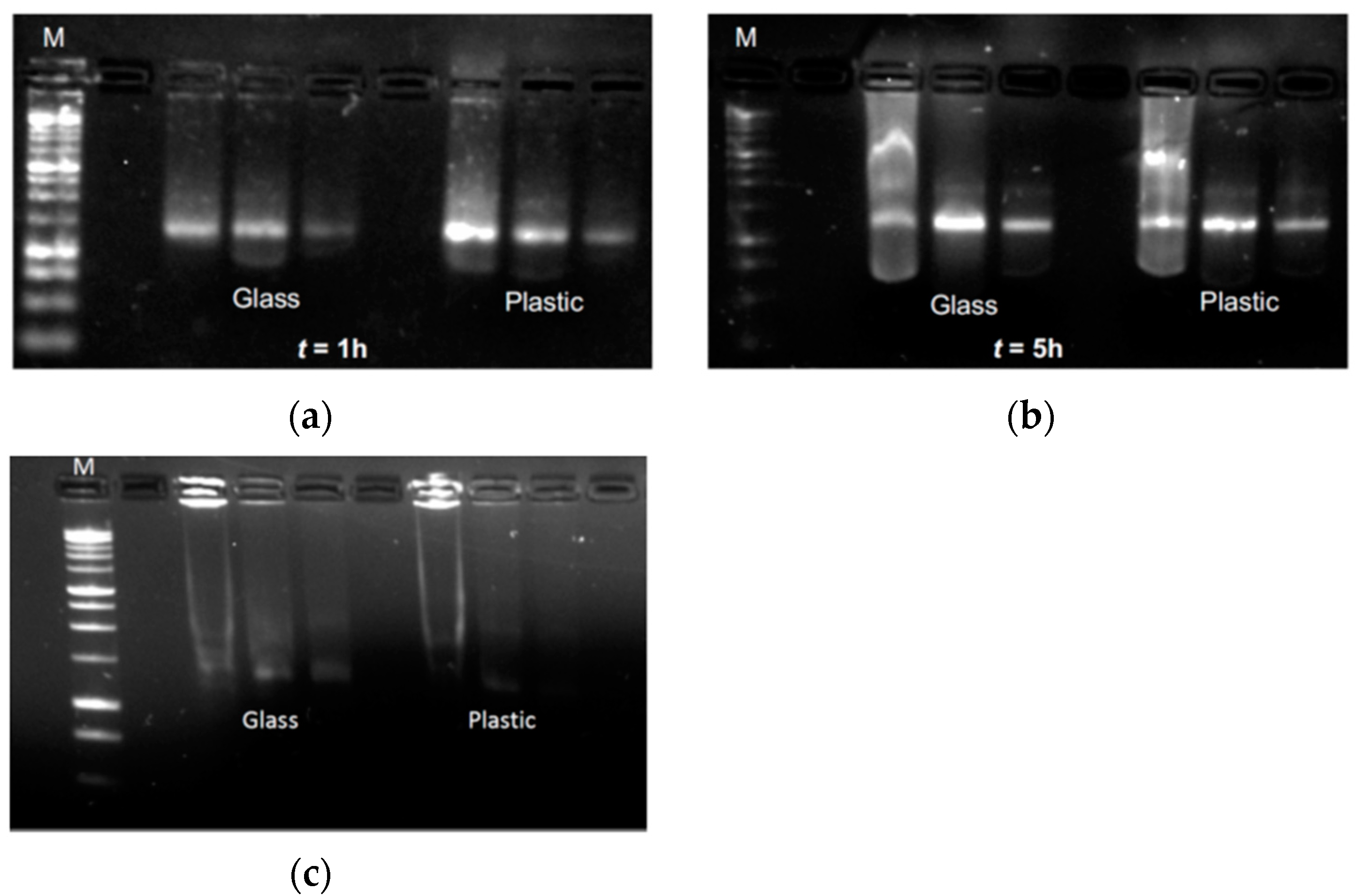 Pharmaceutics 13 01029 g004
