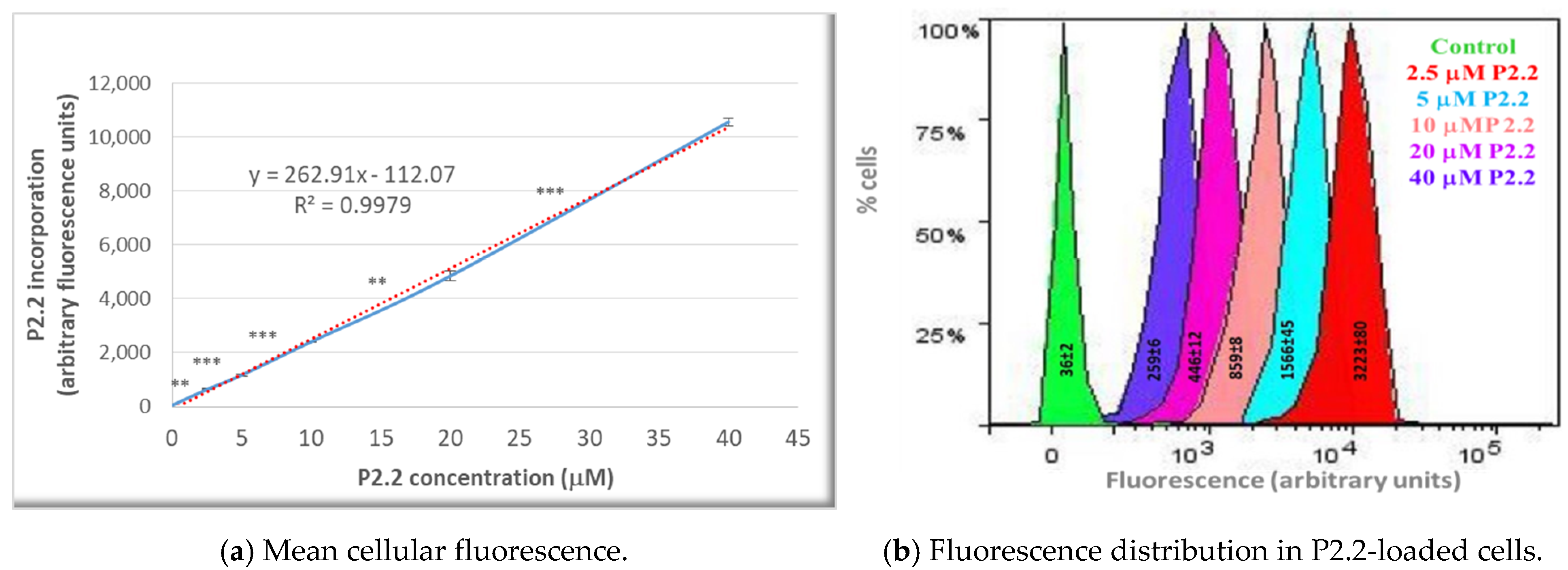 Pharmaceutics 13 01032 g002
