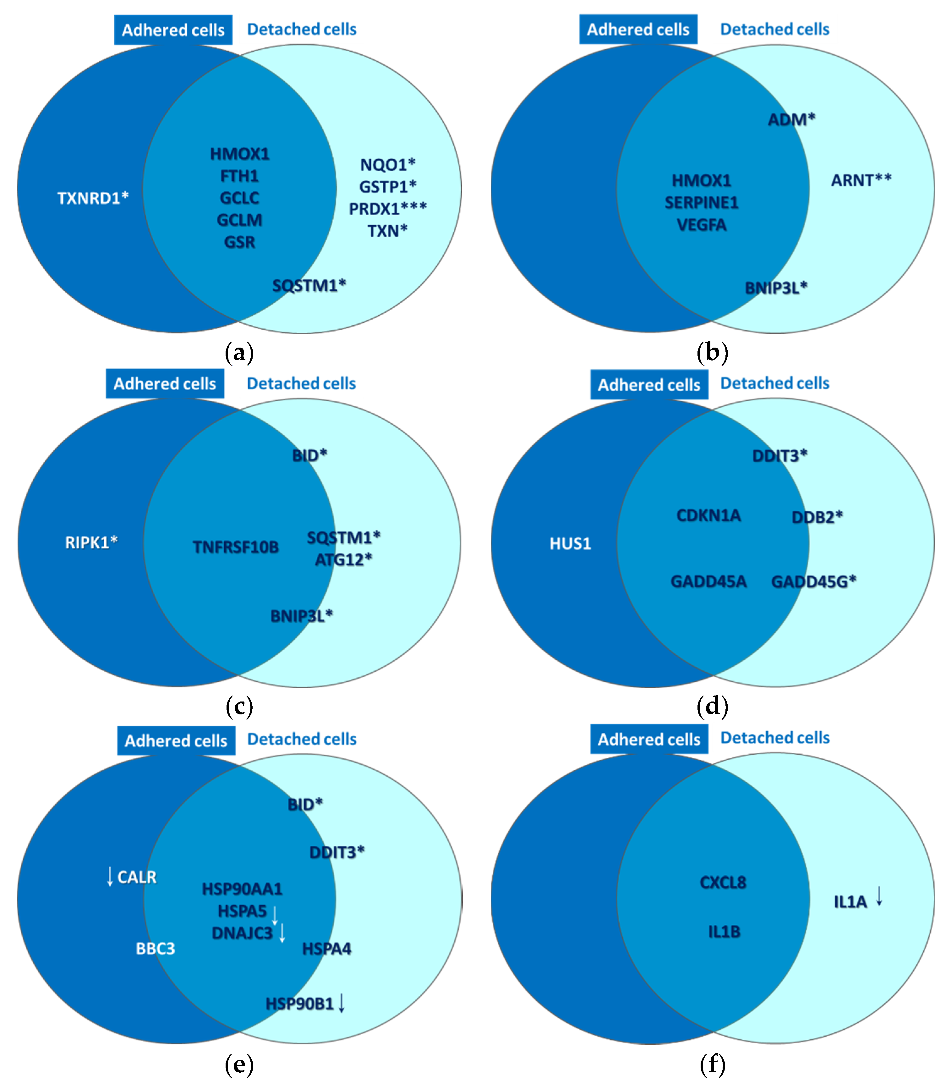 Pharmaceutics 13 01032 g010