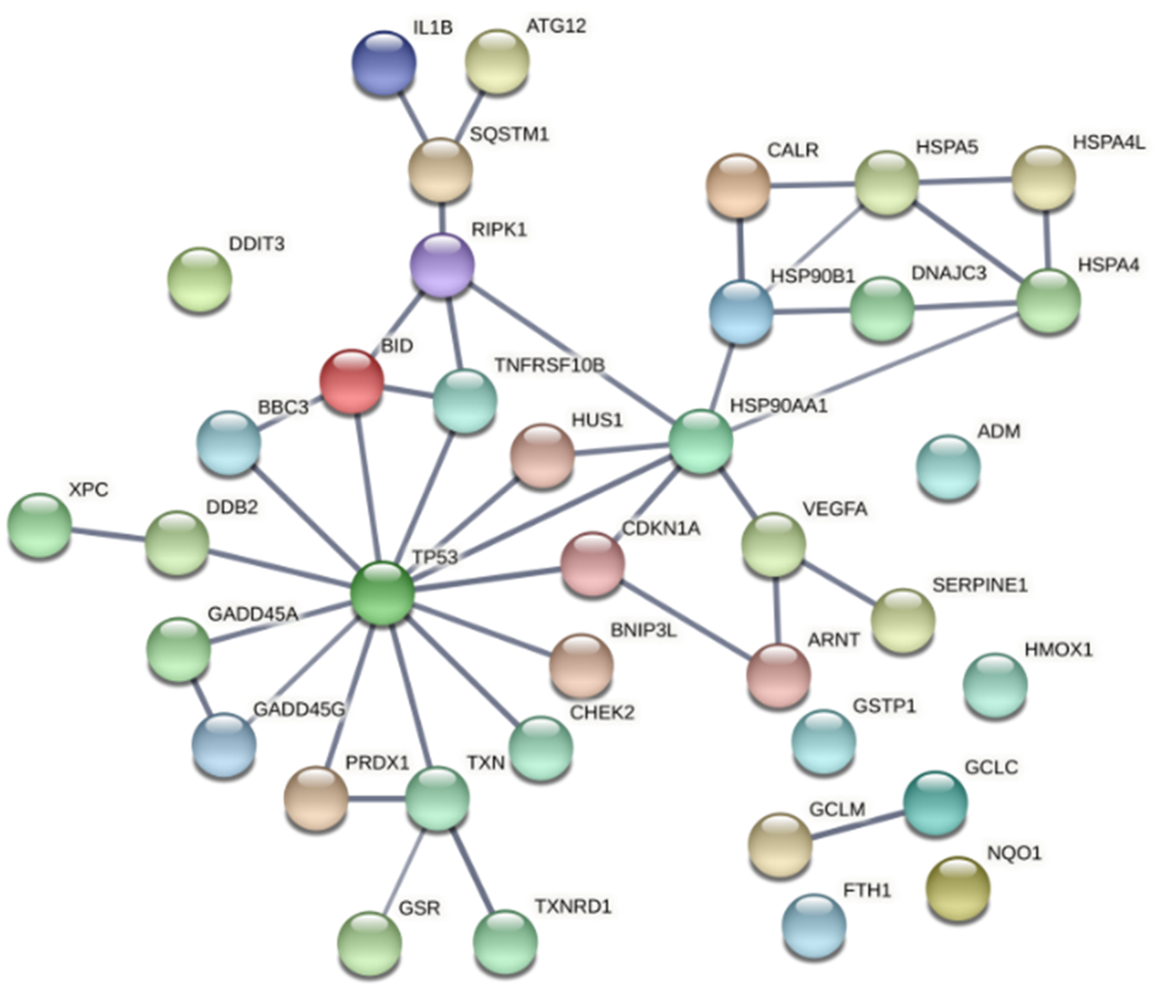 Pharmaceutics 13 01032 g011