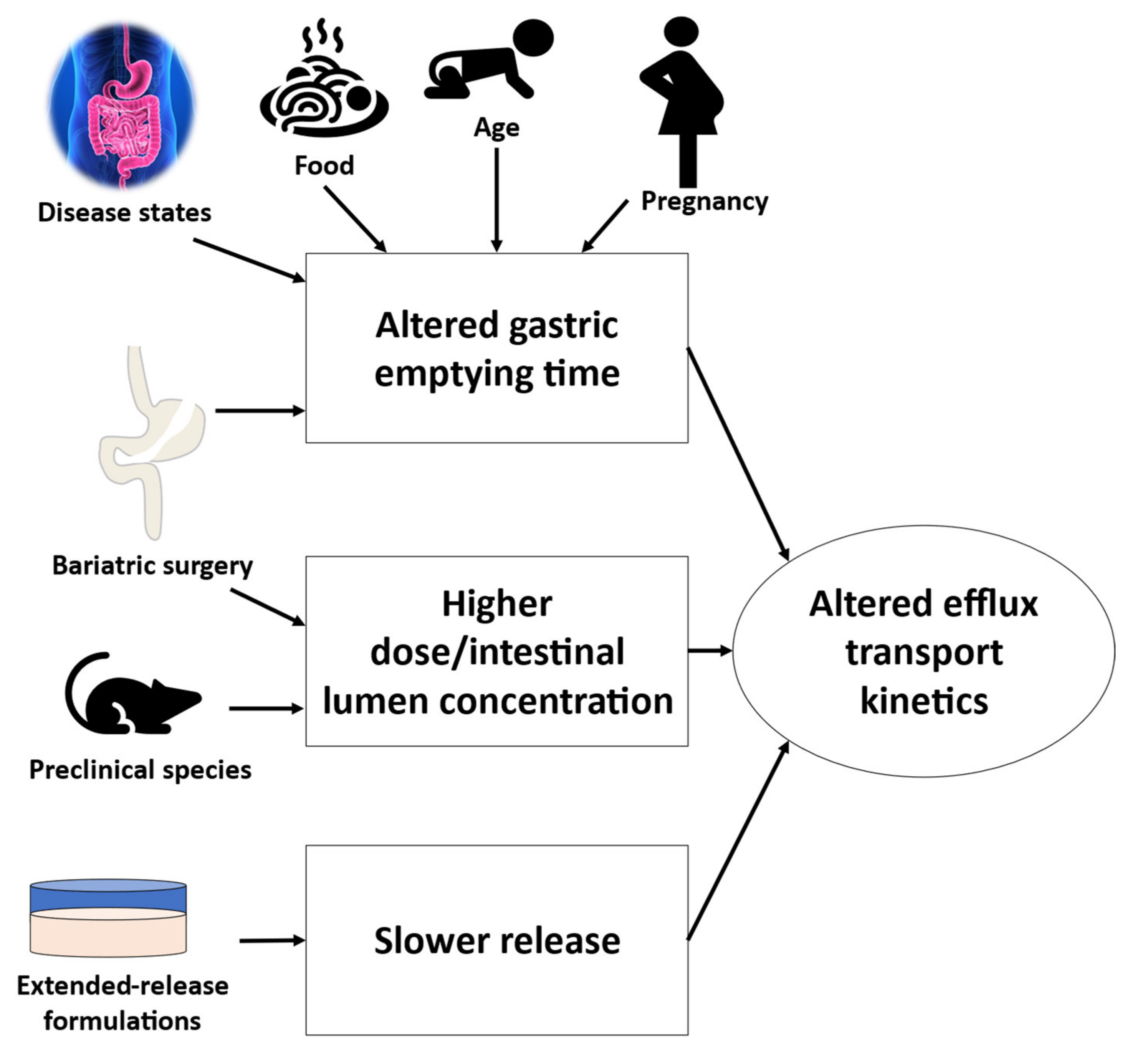 Pharmaceutics 13 01035 g006
