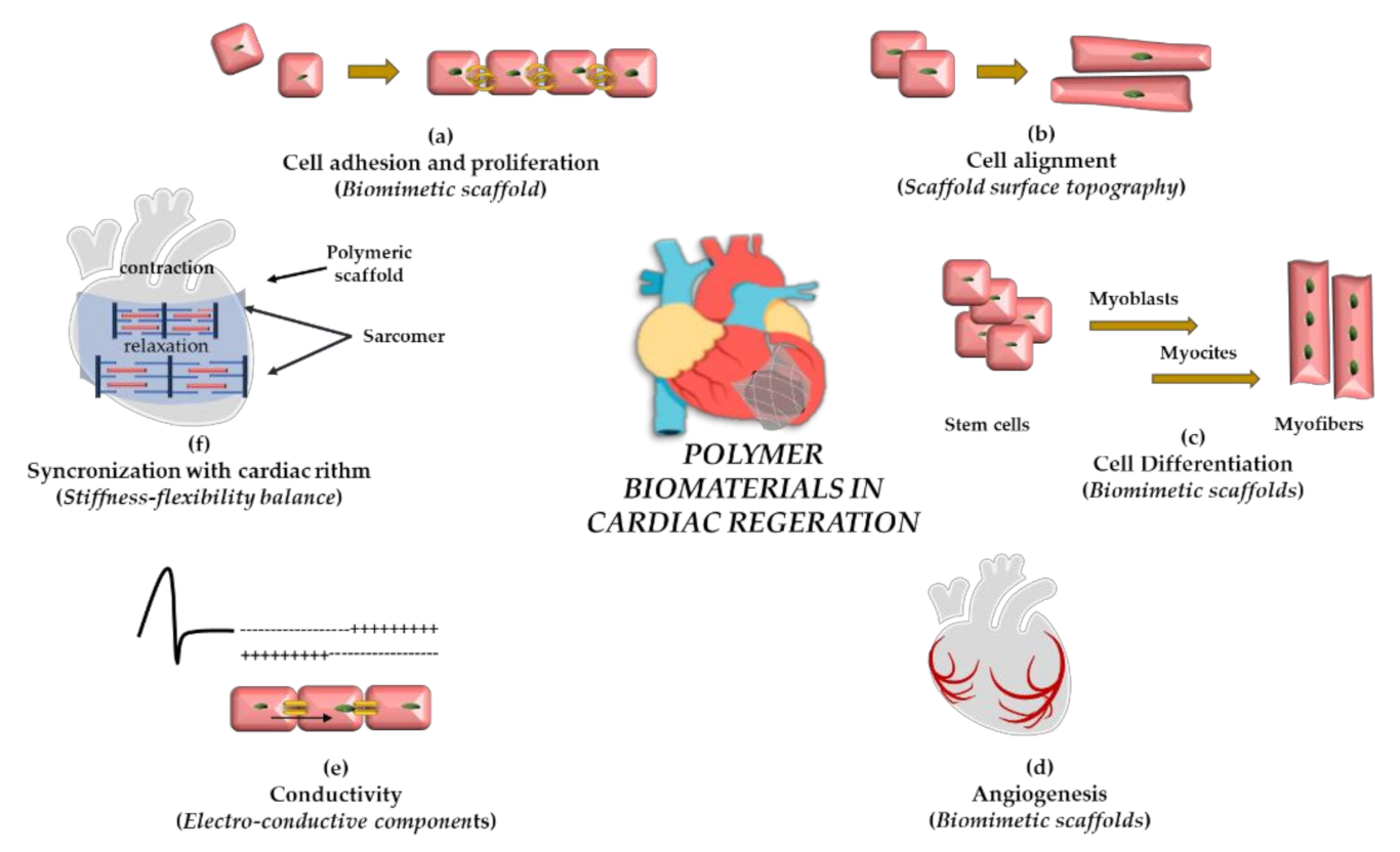 Pharmaceutics 13 01038 g001