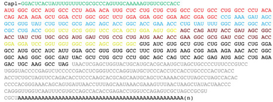 Pharmaceutics 13 01040 g0a1 550