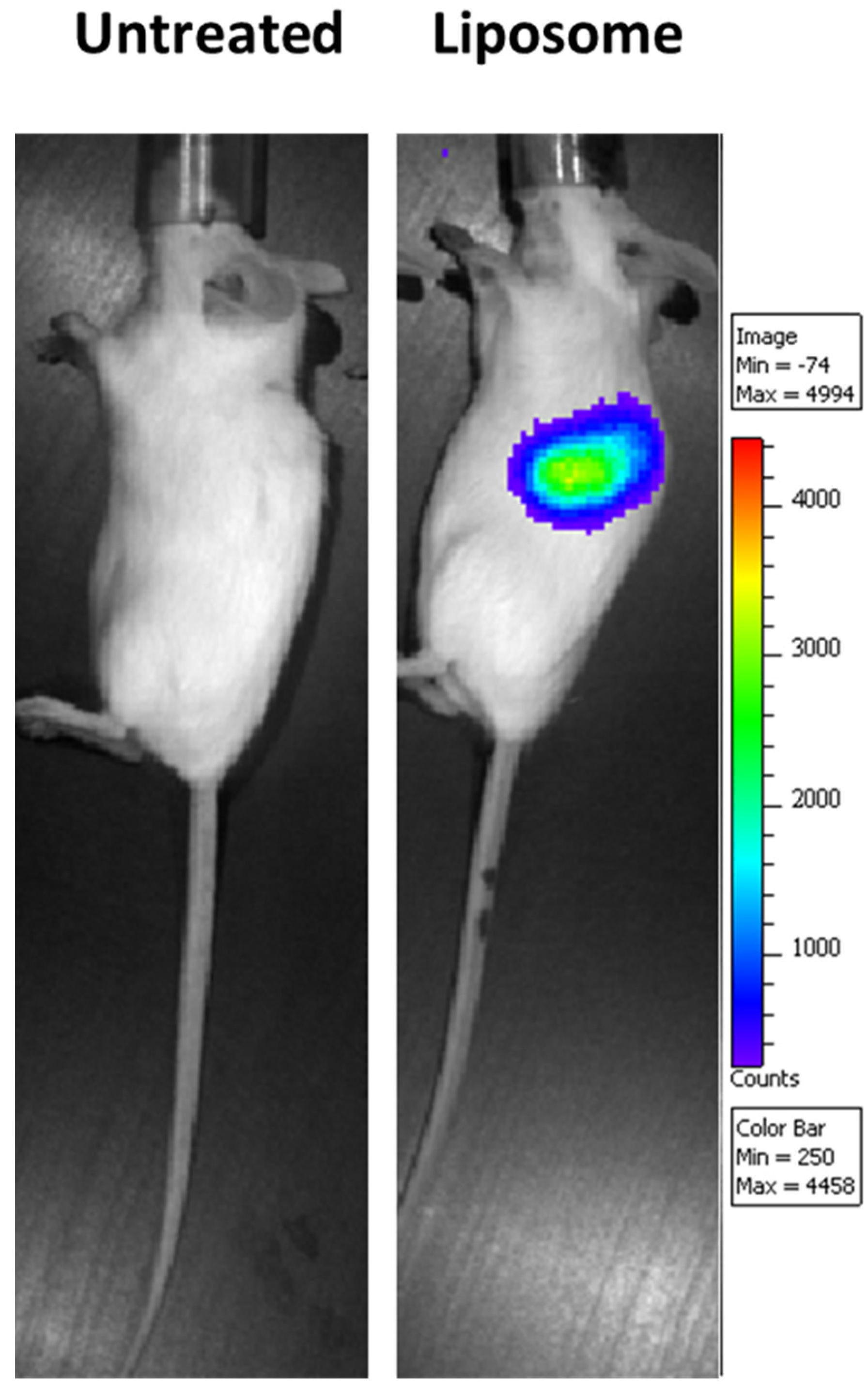 Pharmaceutics 13 01040 g0a4