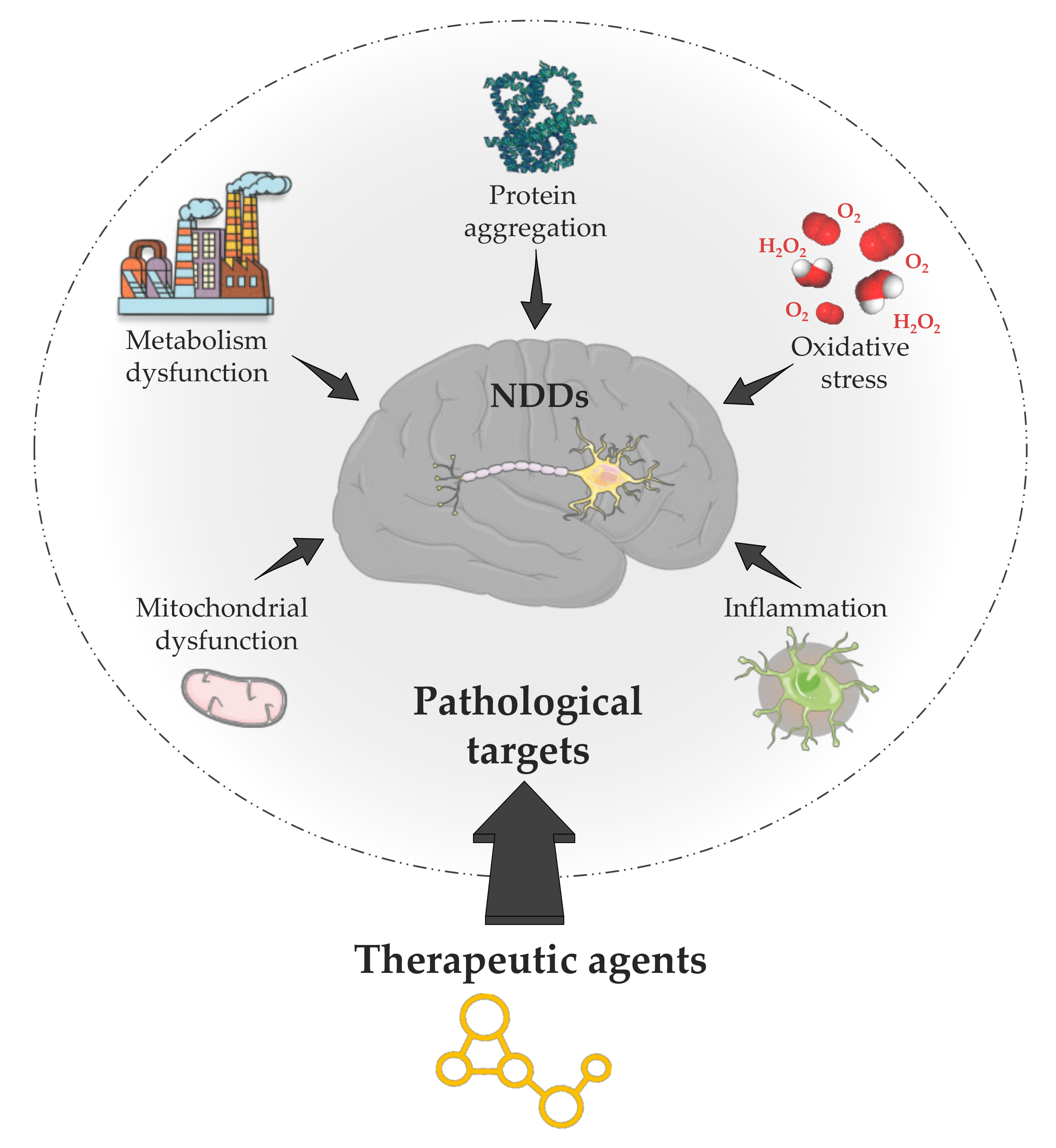 Pharmaceutics 13 01042 g002