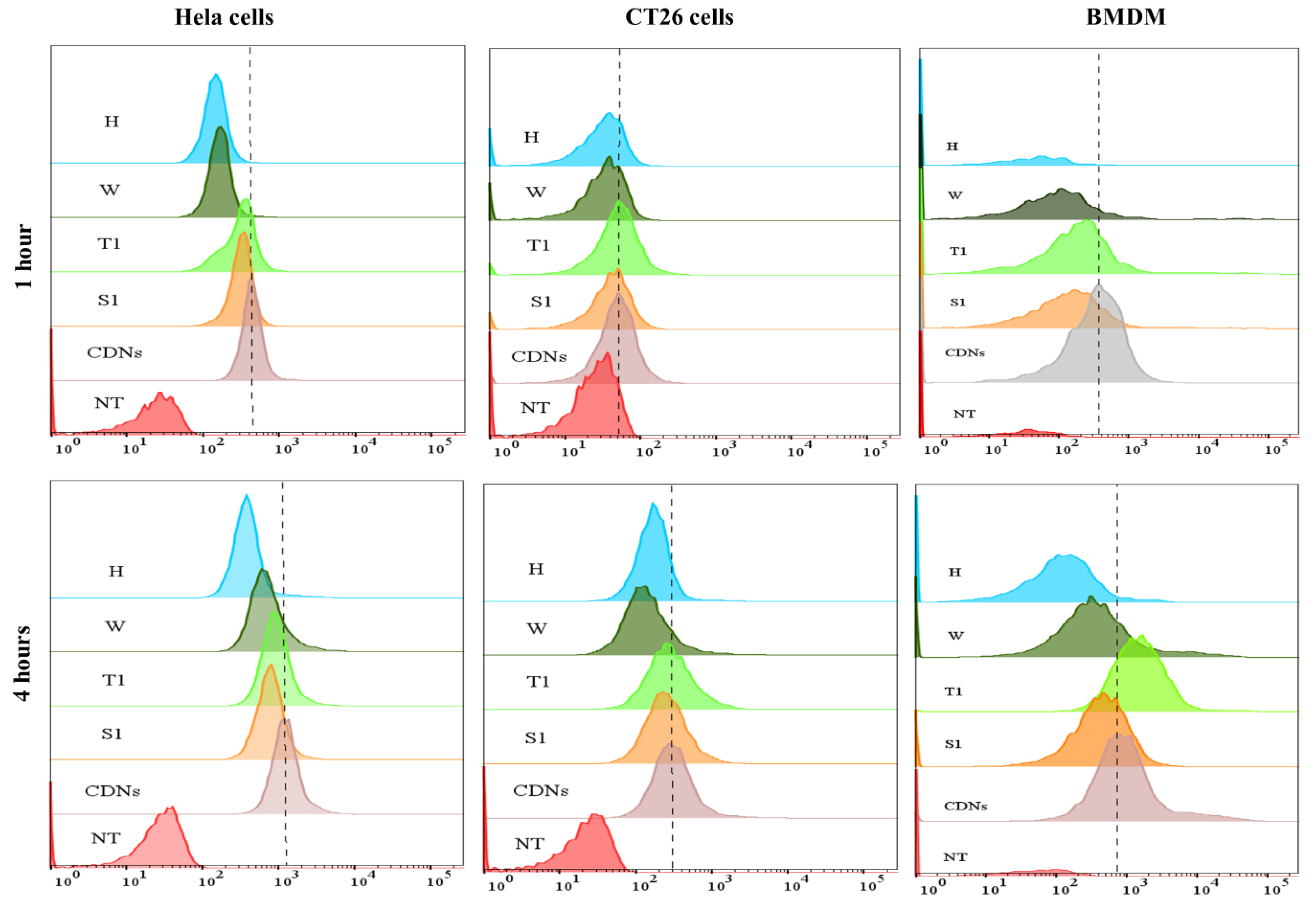 Pharmaceutics 13 01052 g003