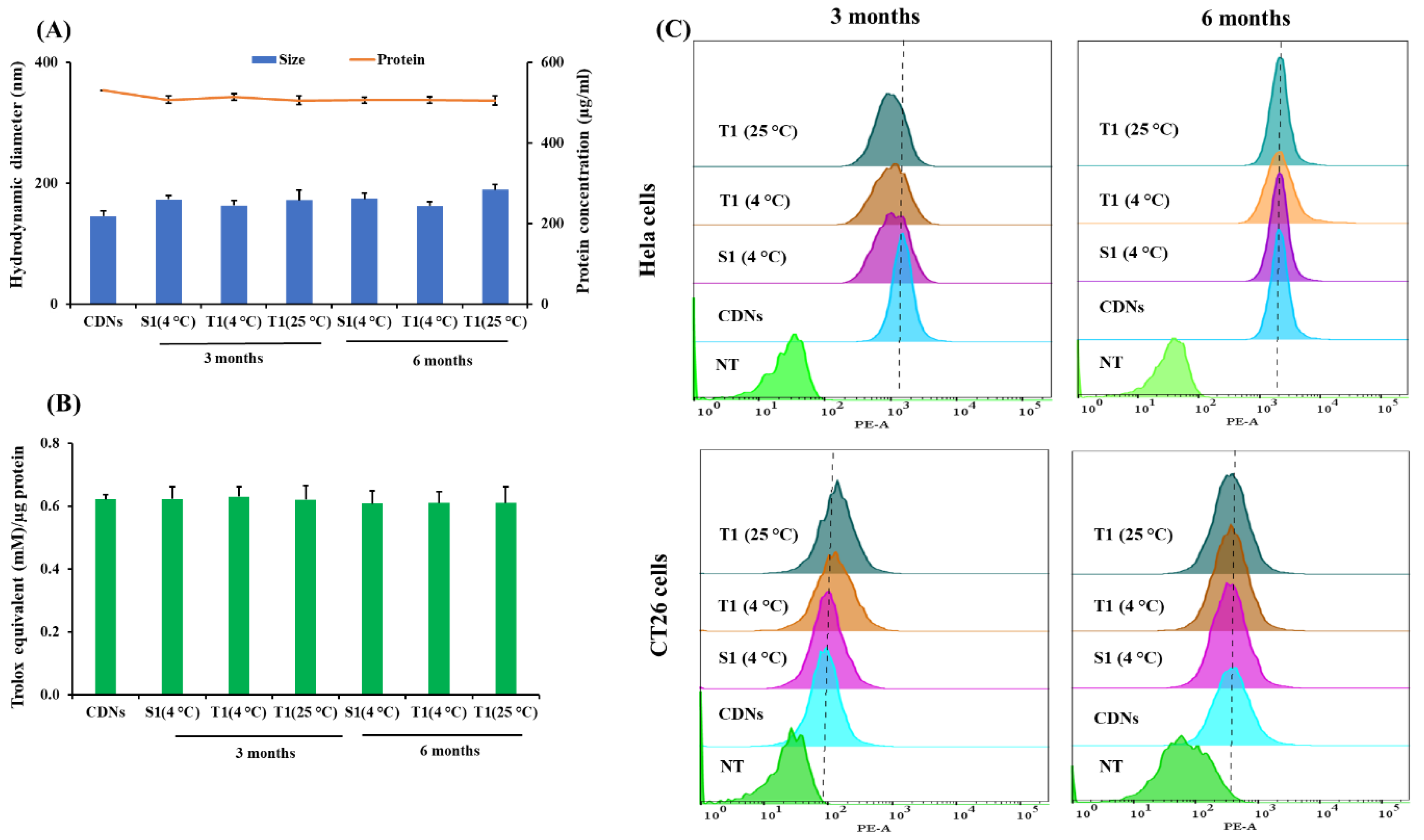 Pharmaceutics 13 01052 g005